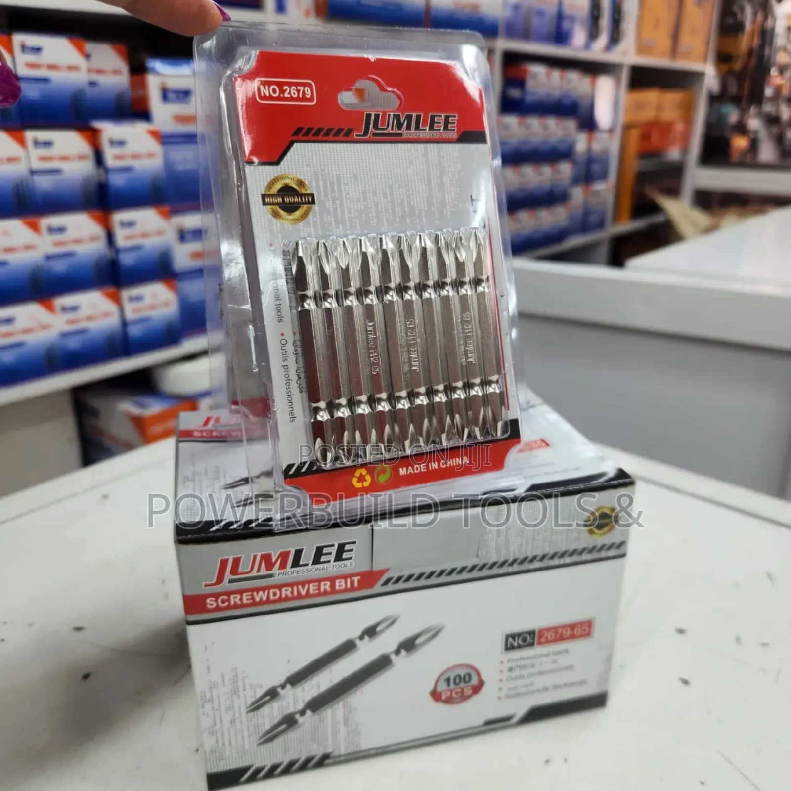 10pcs Double Screw Driver Bit Set