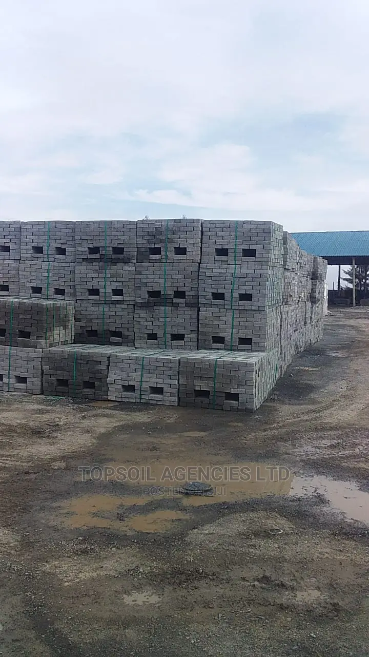 CABRO Paving Blocks/Pavement Blocks for Sale (Limited Offer)