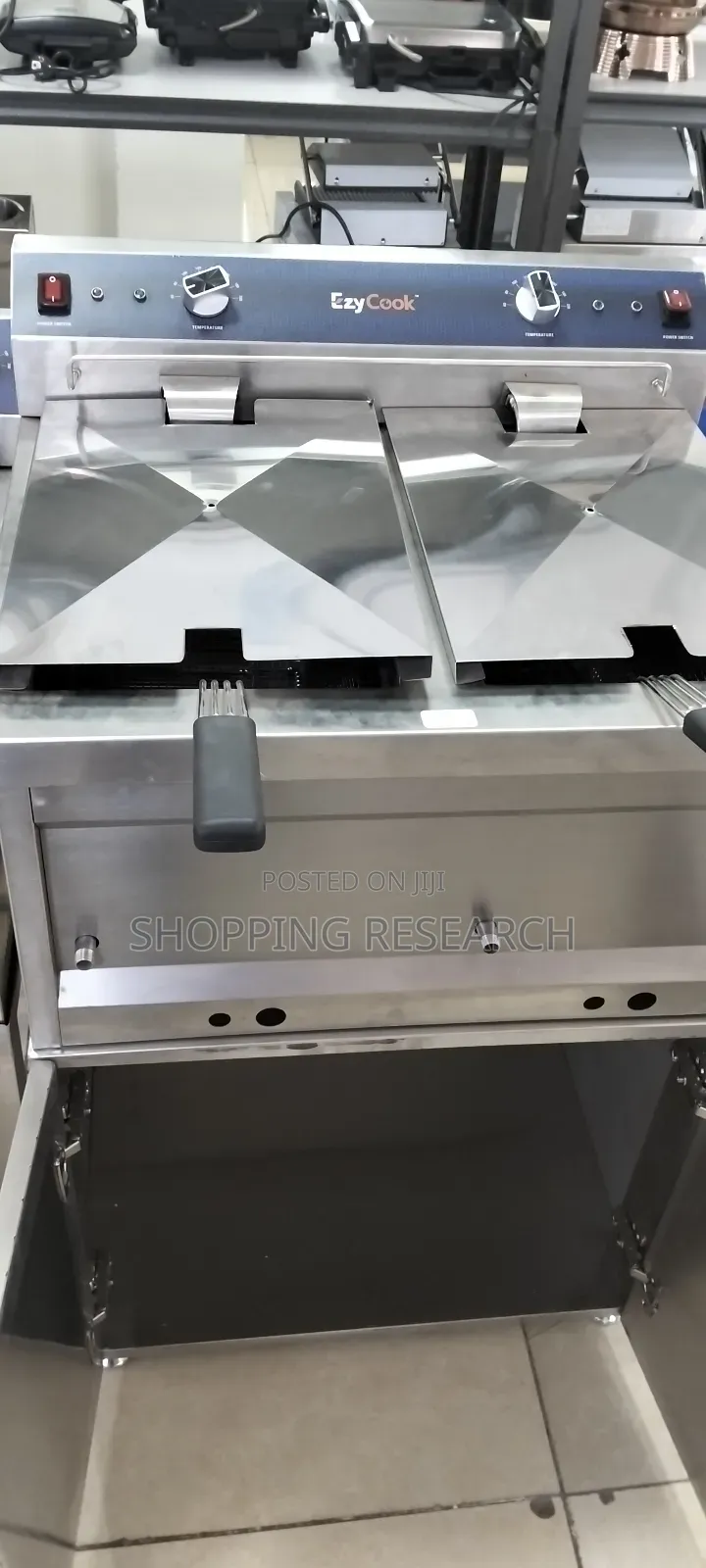 Stainless Steel Electric Fryer Double Imported