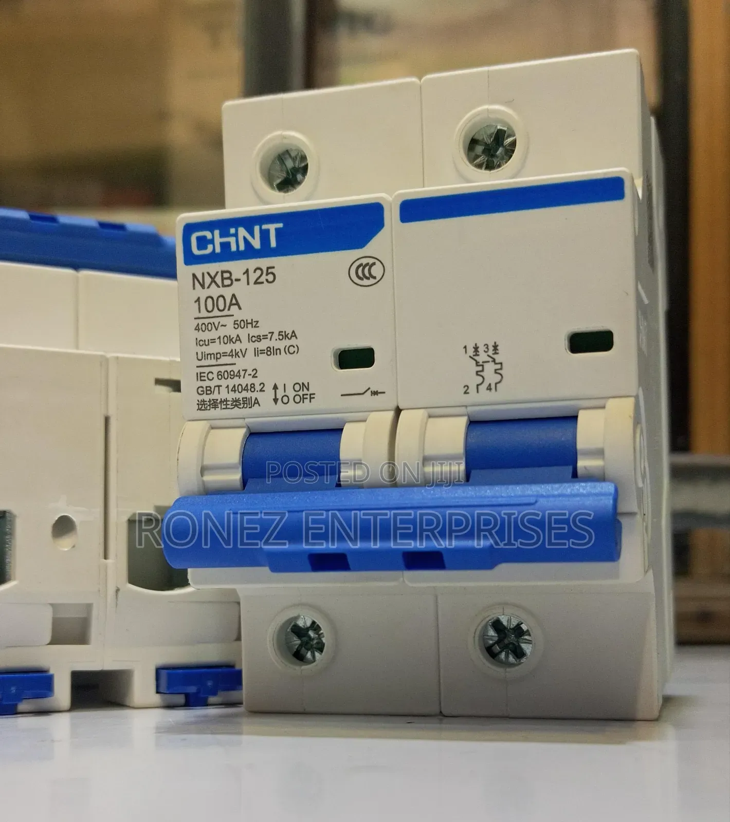 Double Pole Chint 100 Amps