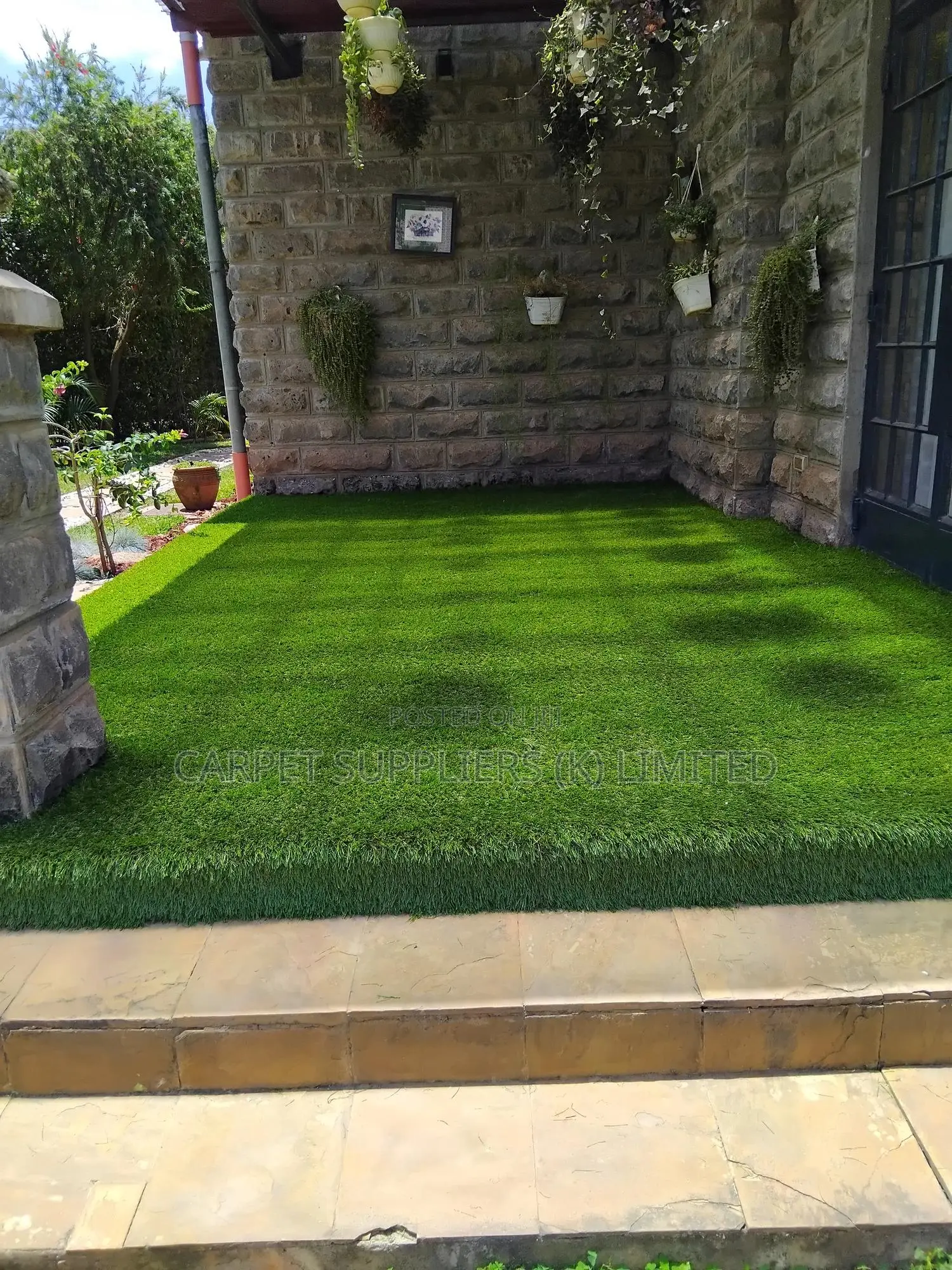 Turf Grass (Green)