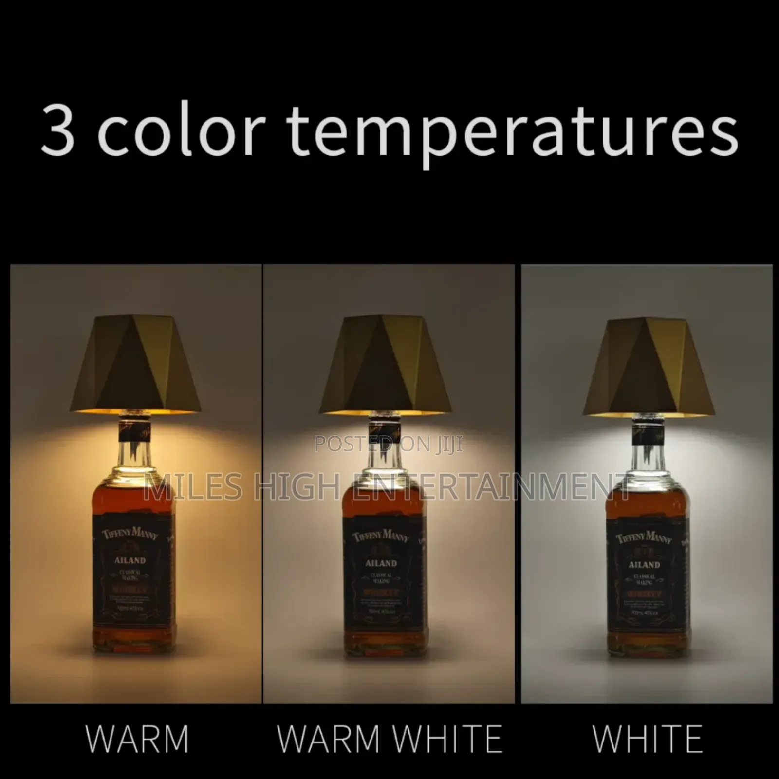 Decorative Creative Led Lights for Bottles