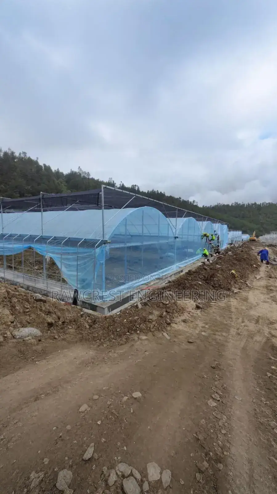 Greenhouse Construction Services