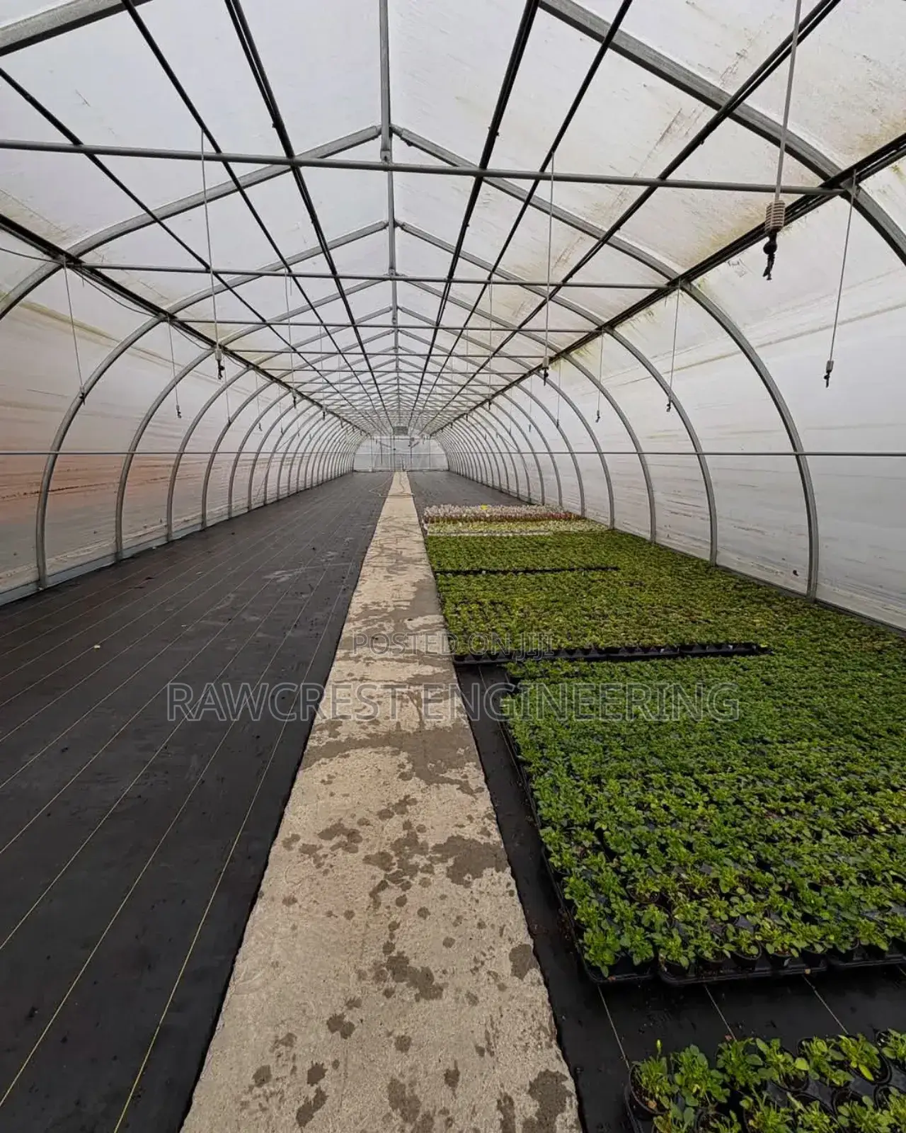 Greenhouse Construction