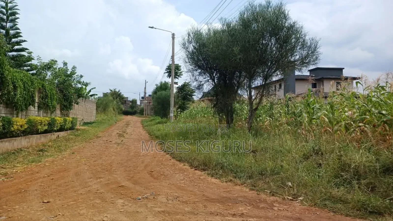 Ruiru, Mugutha 50x100 Plots