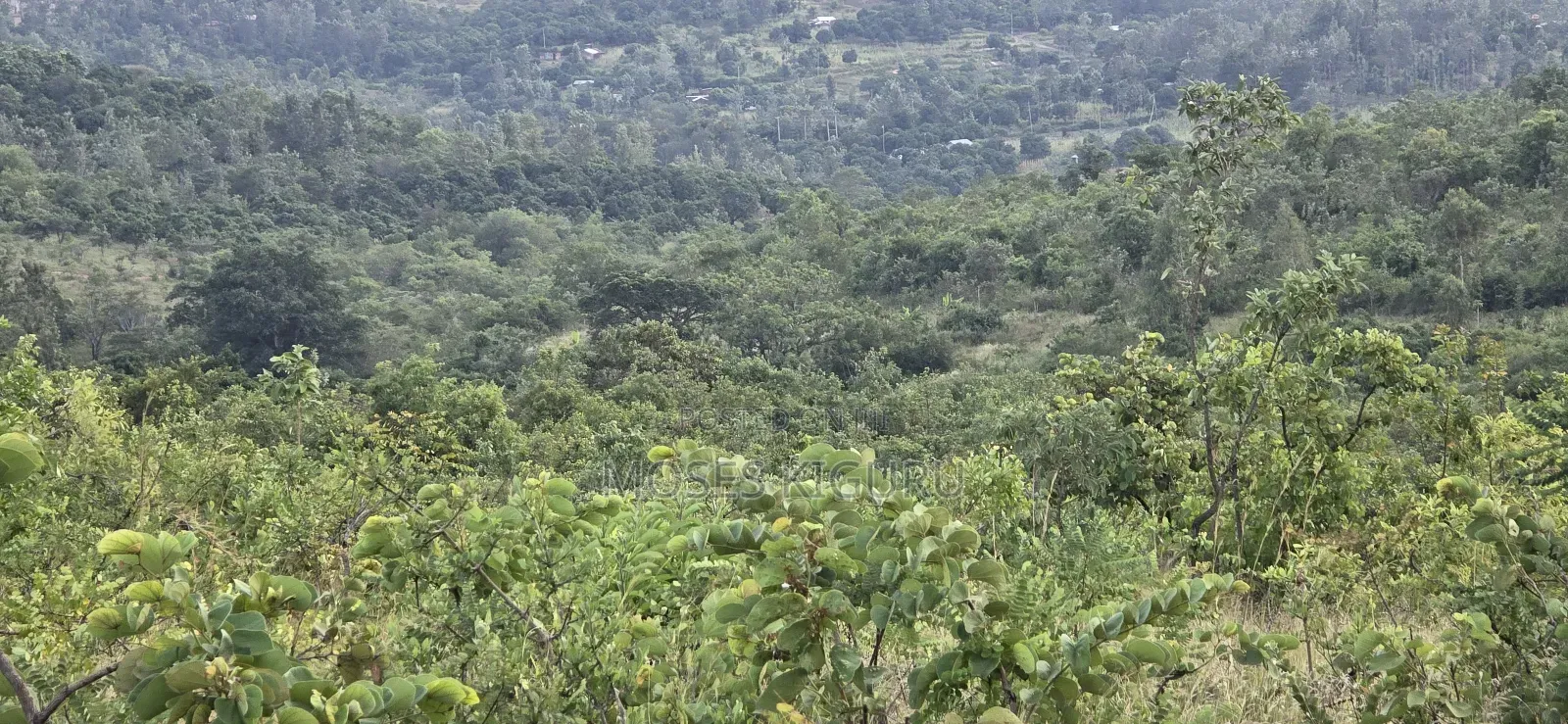 Makuyu 20 Acres for Sale.