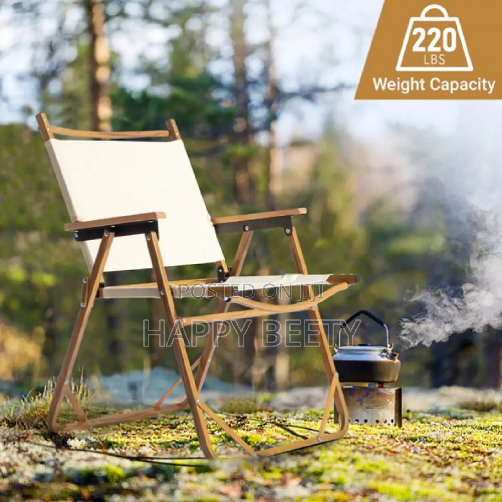 Outdoor Kermit Camping Chair
