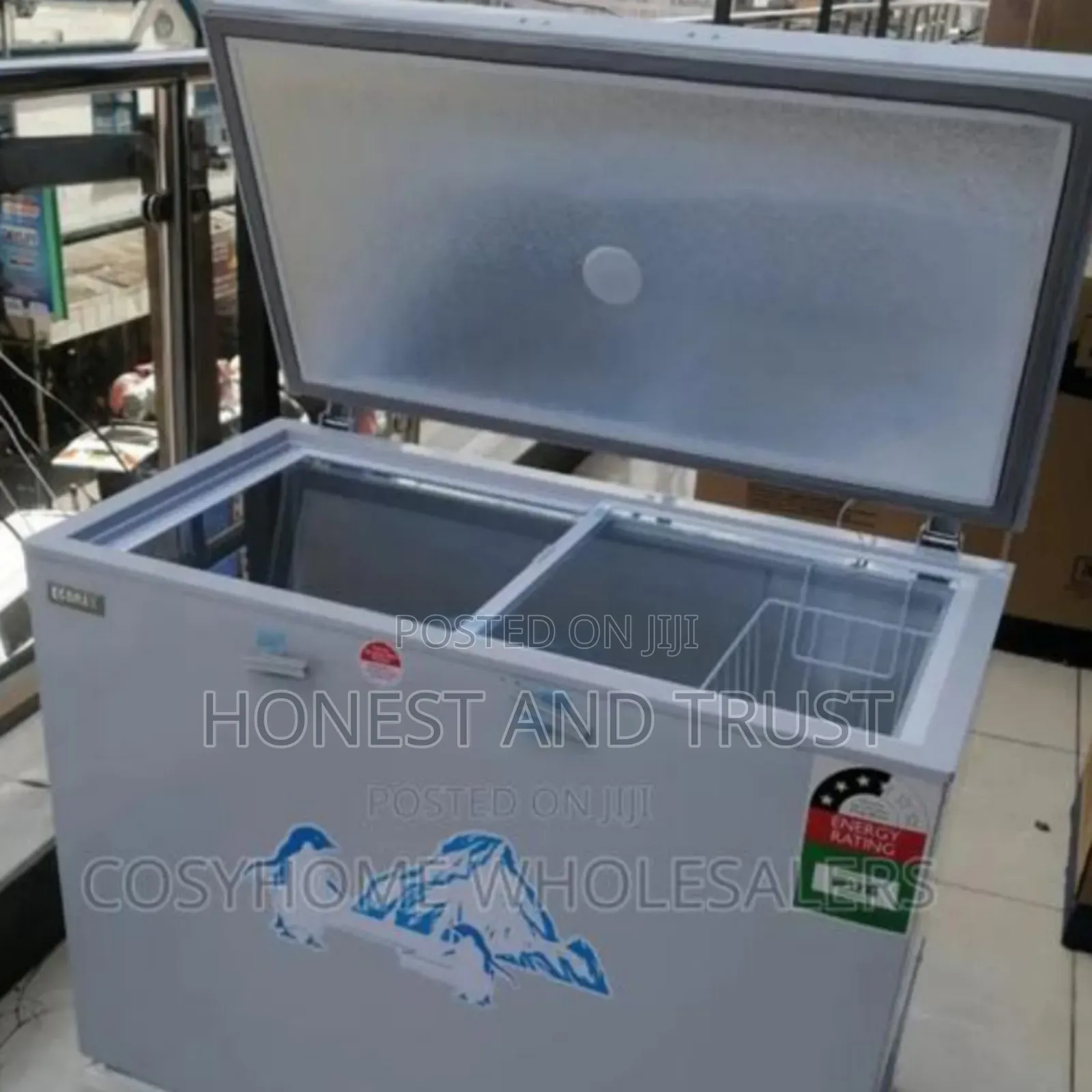 Ecomax 219 Freezer