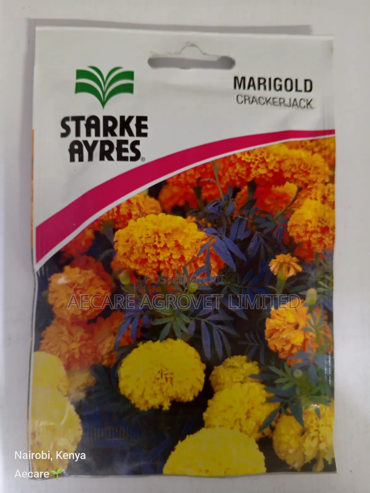 Marigold Cracker Jack Flower Seeds 3.5 Grams