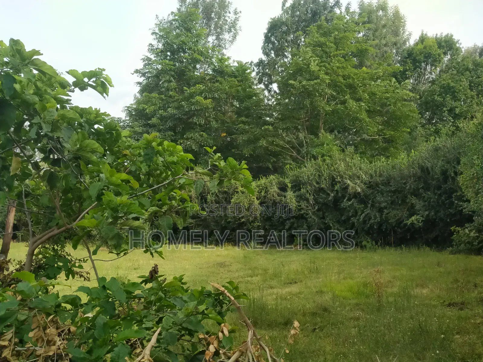 Eighth Acre Corner Plot for Sale in Ngong, Bondeni Red Soil