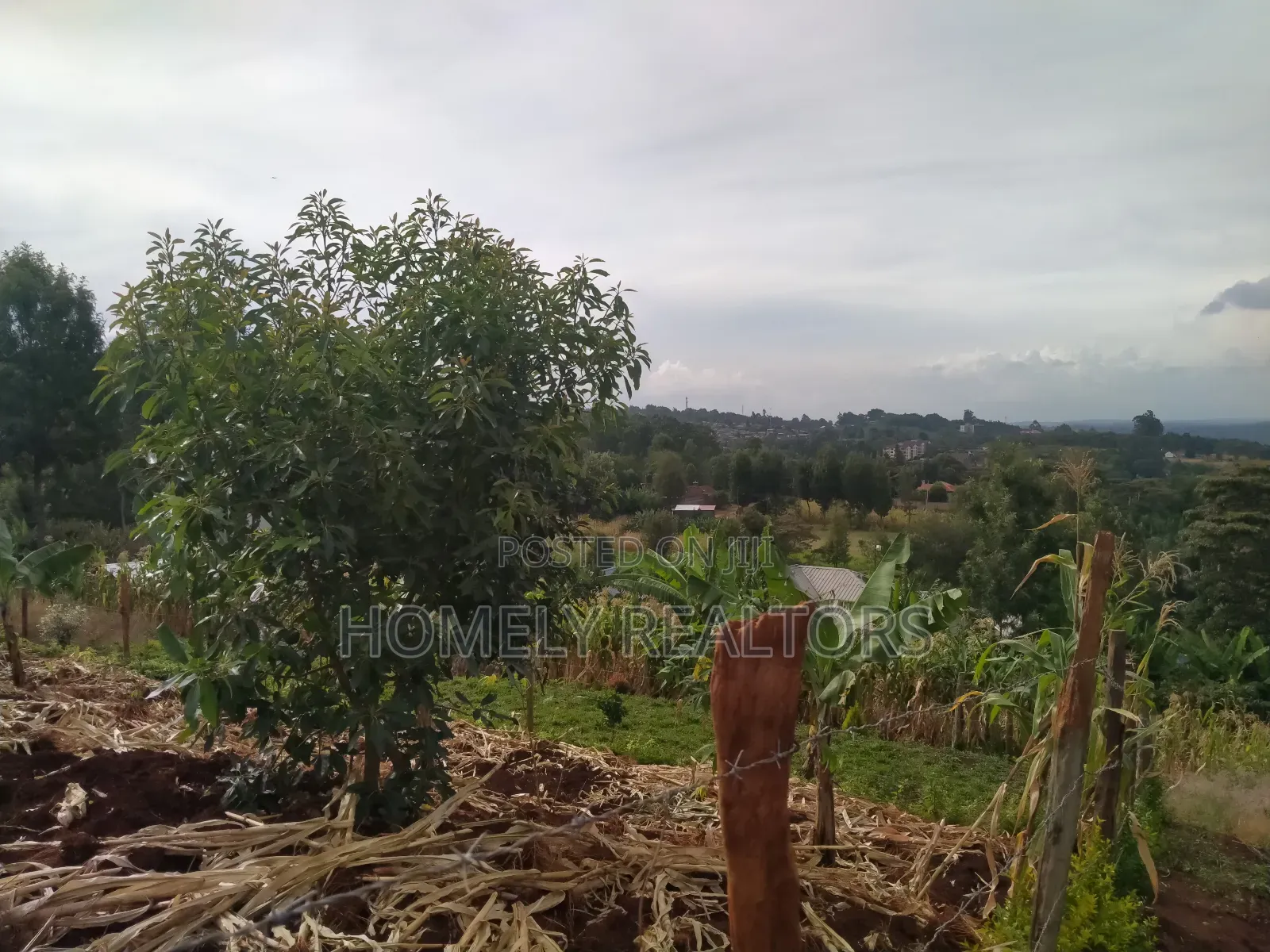Beautiful Quarter Acre Plot in Ngong, Bondeni for Sale
