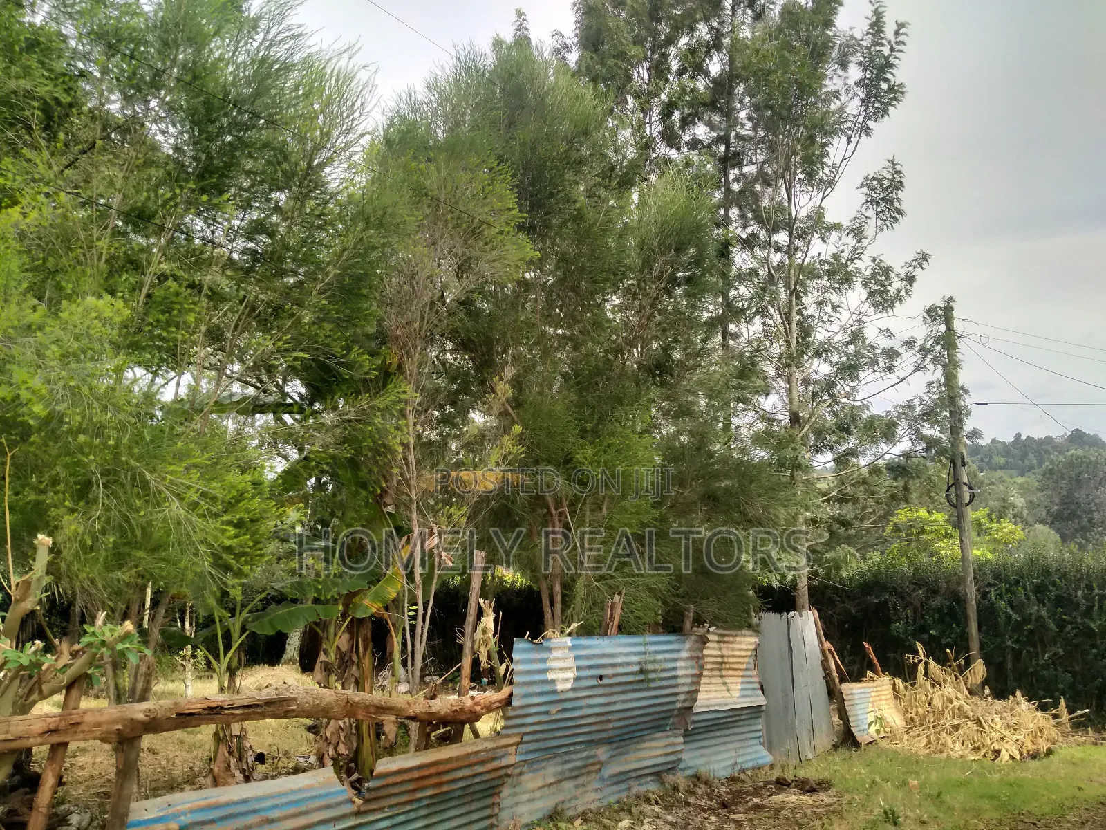 Large Residential Eighth Acre Red Soil Plot in Ngong Bondeni