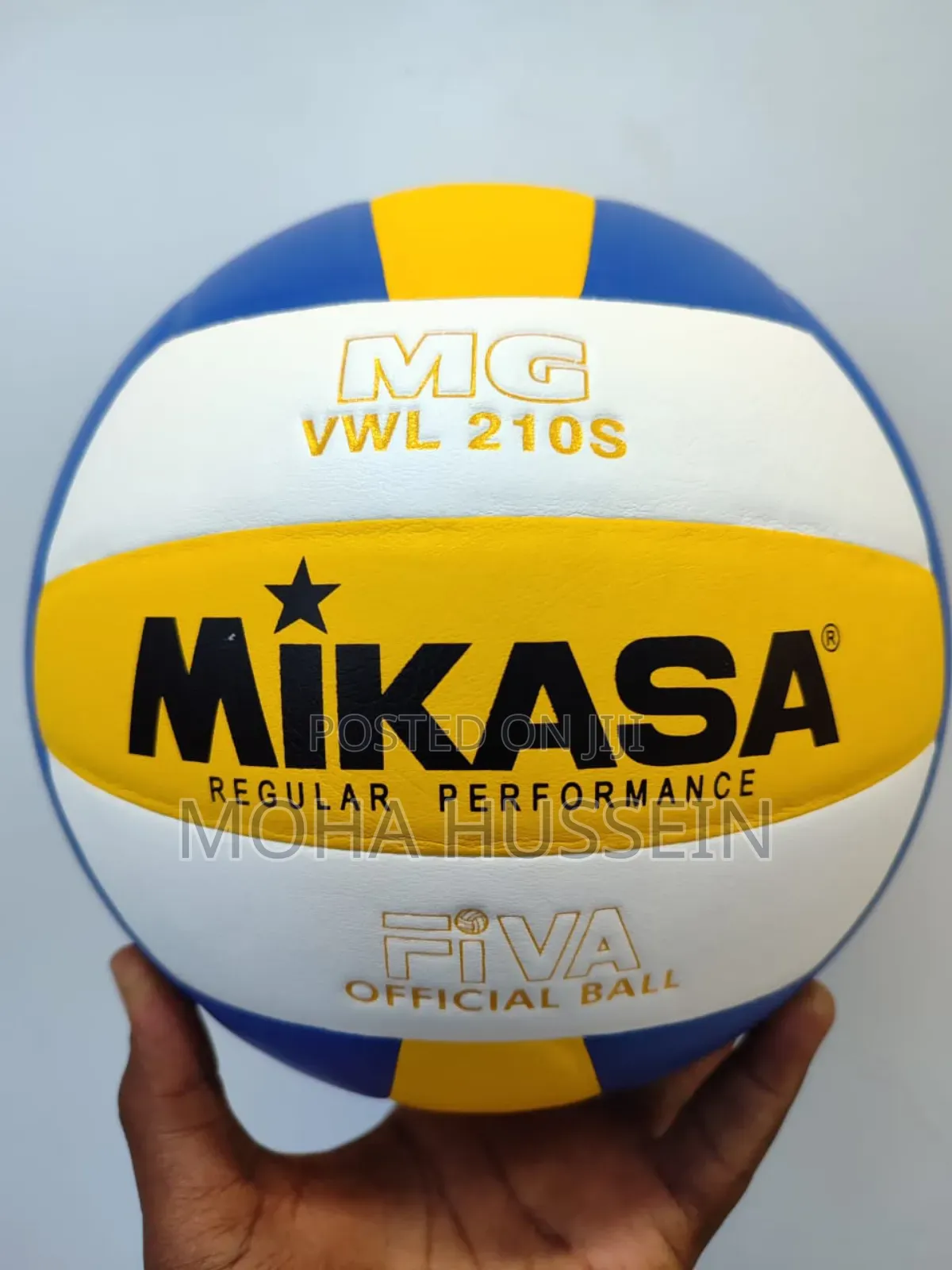 Volleyball Balls
