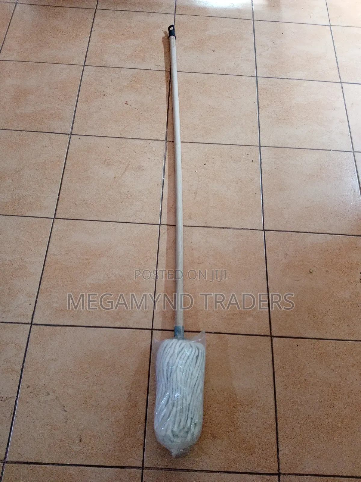 Mop and Bucket for Cleaning Floor