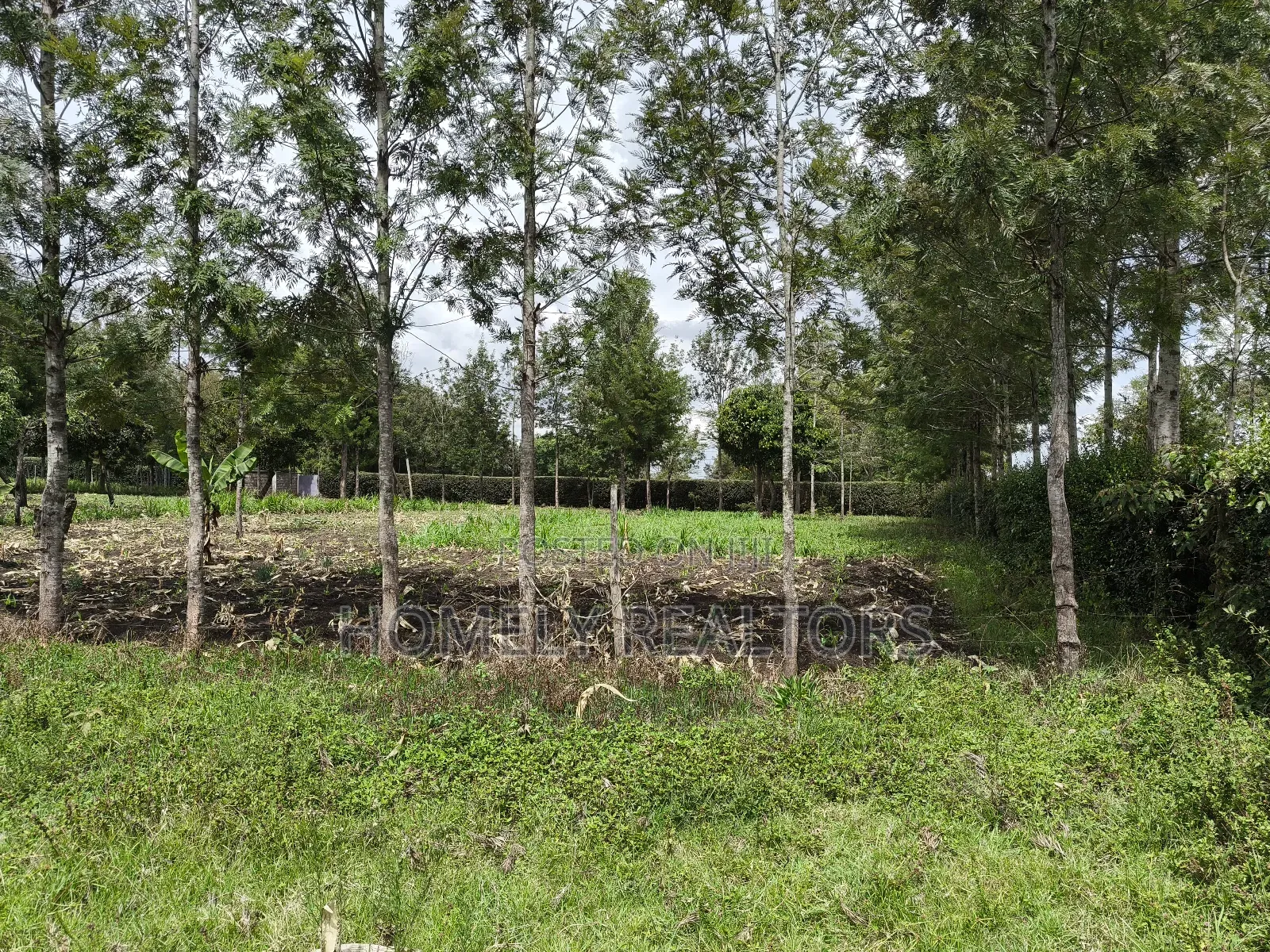 Leafy Quarter Acre Plot in Ngong, Matasia Along Oloika Road