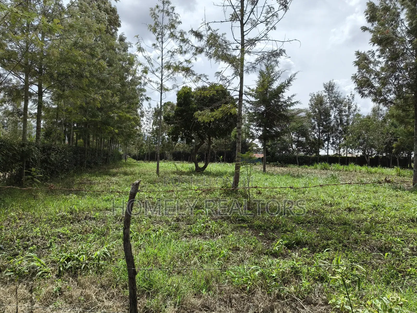 Leafy Quarter Acre Plot in Ngong, Matasia Along Oloika Road