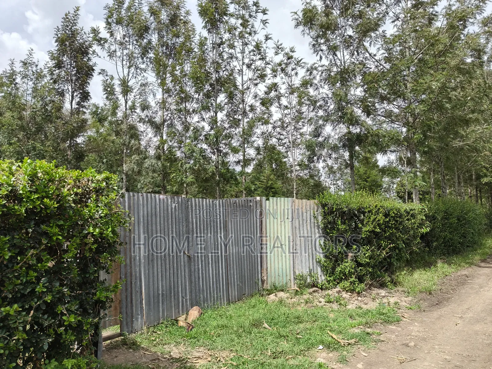 Leafy Quarter Acre Plot in Ngong, Matasia Along Oloika Road