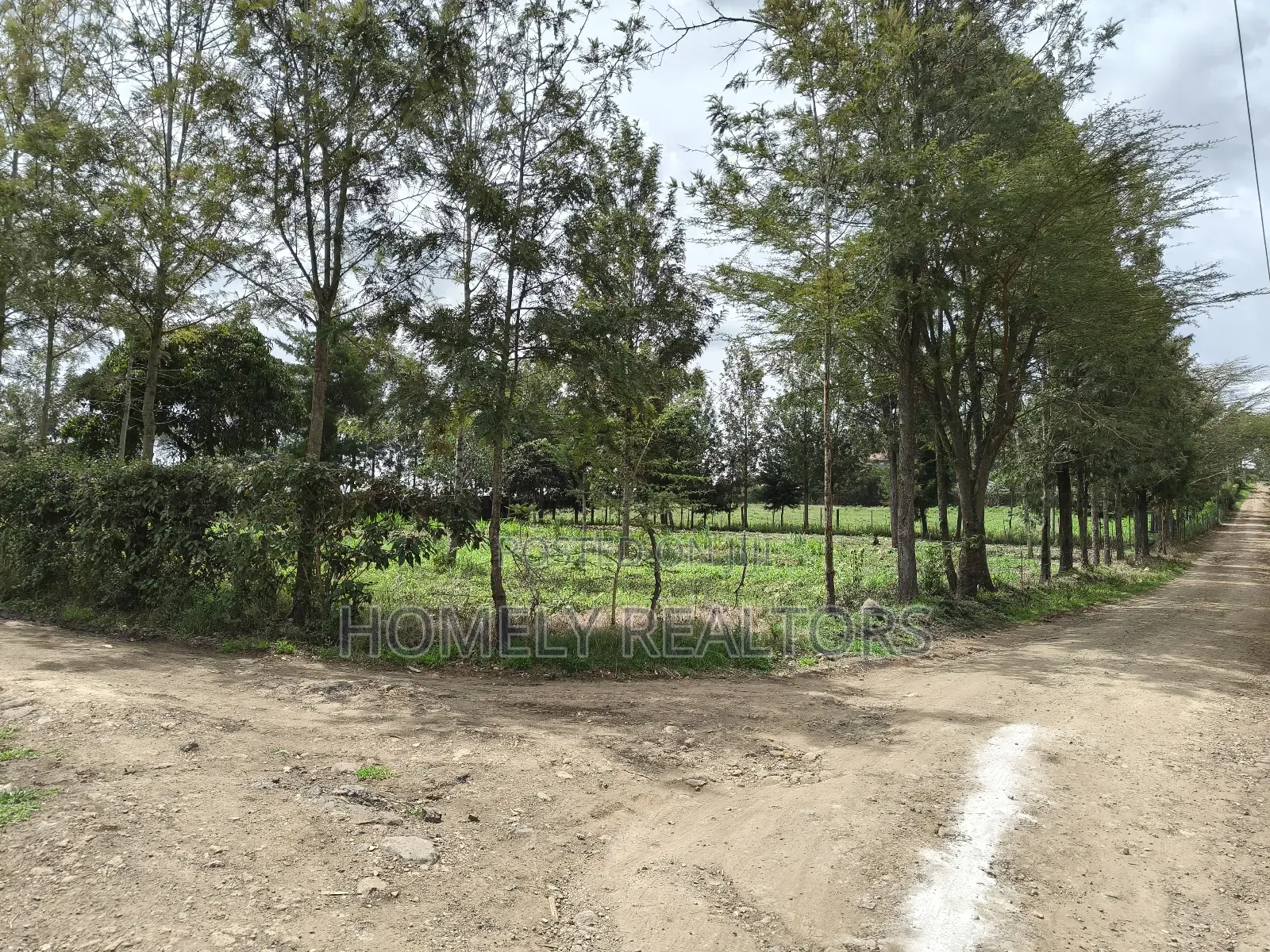 Leafy Quarter Acre Plot in Ngong, Matasia Along Oloika Road