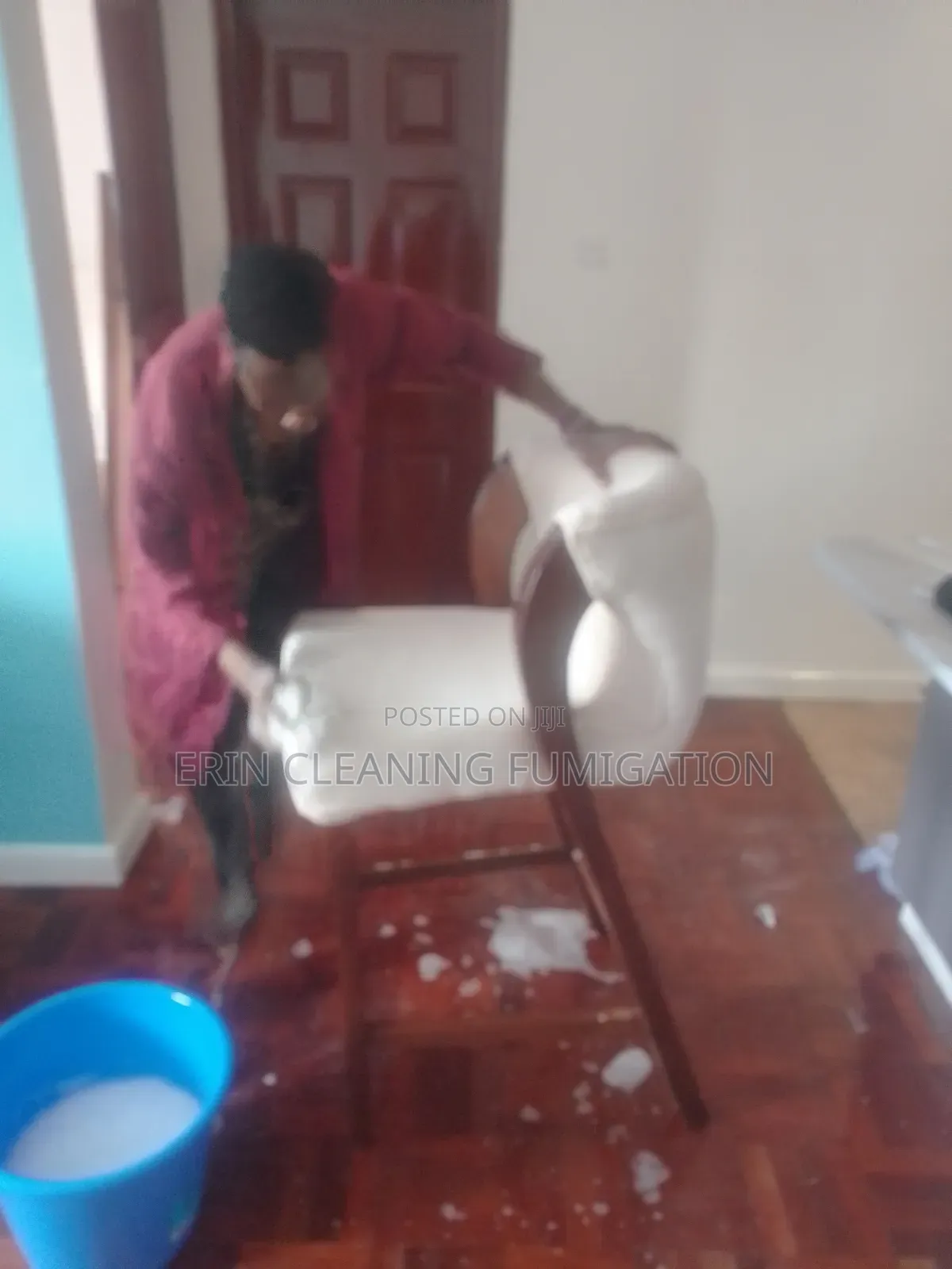 Professional Couch Carpet and Mattress Cleaning