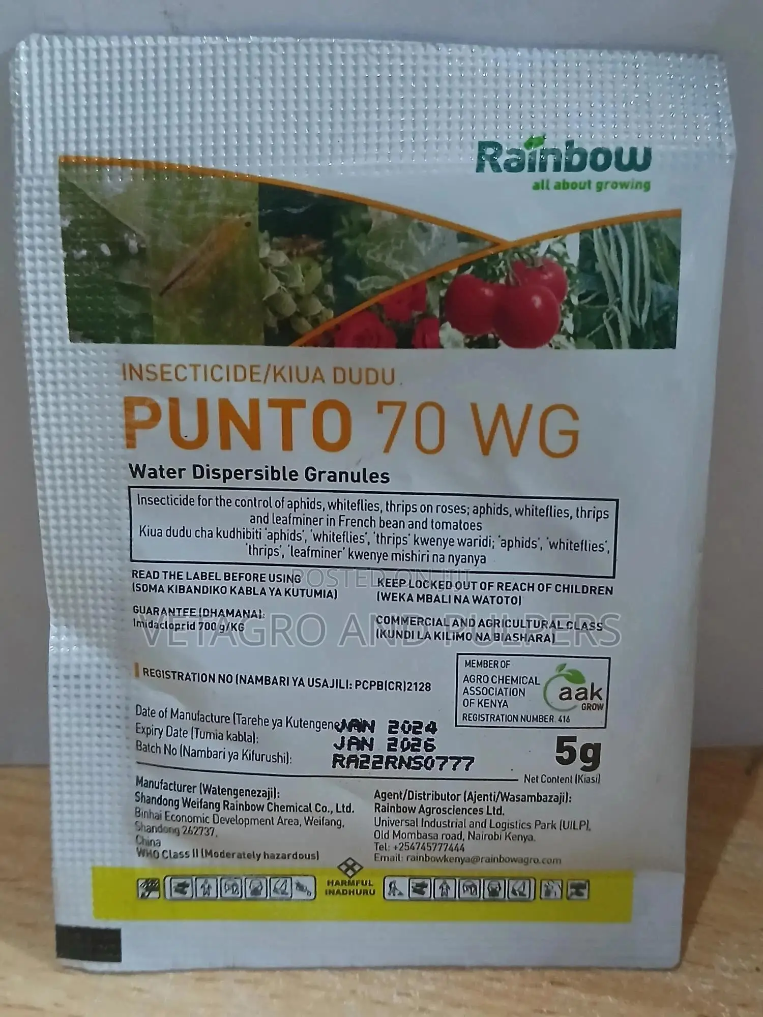 Punto 70 Wg