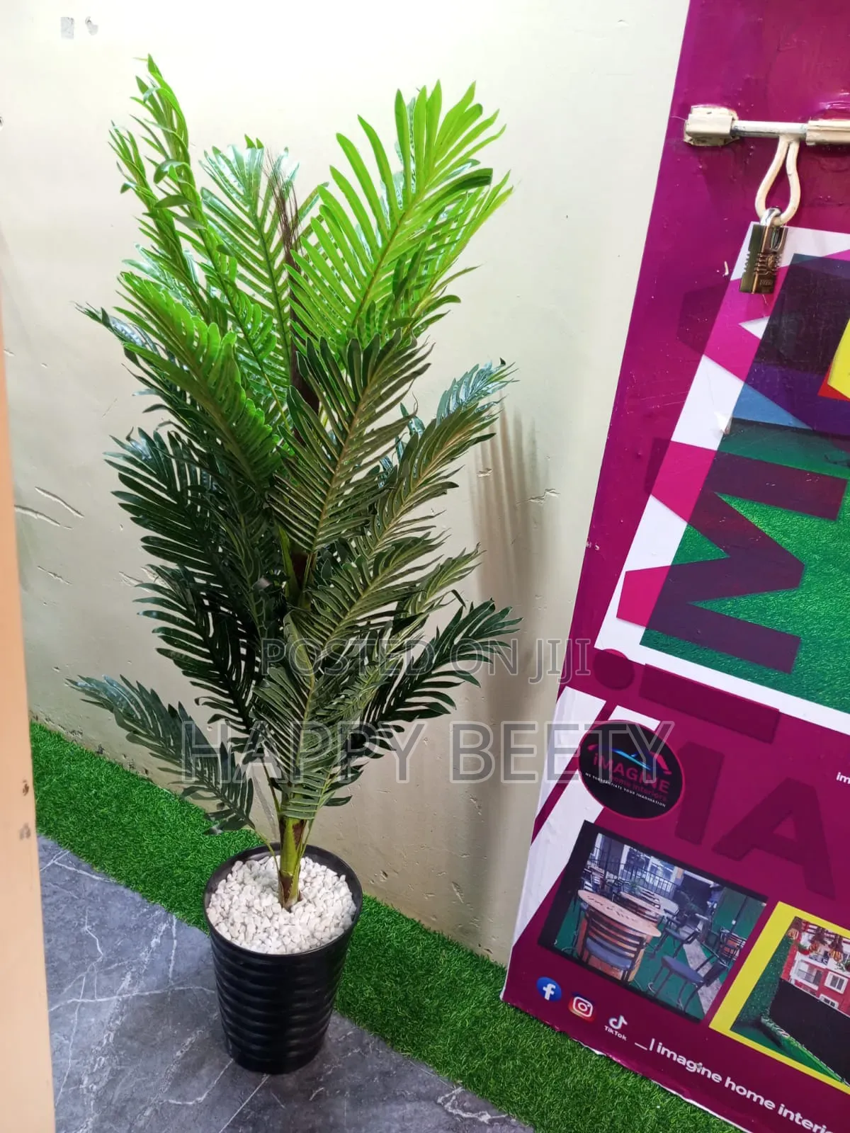 Potted Palm Plant -Comes With Bucket and Pebbles