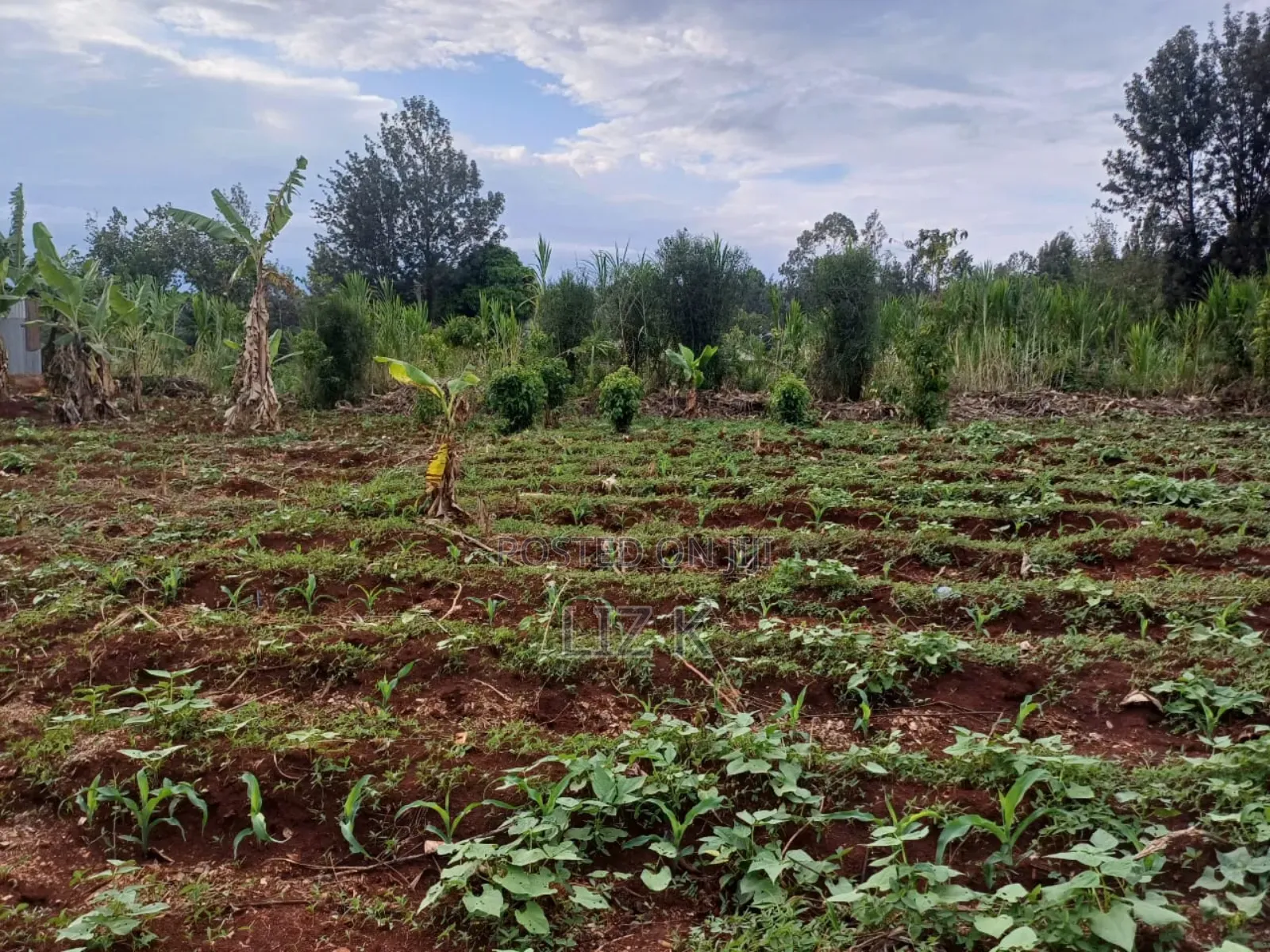 Half Acre in Kabati Kenol