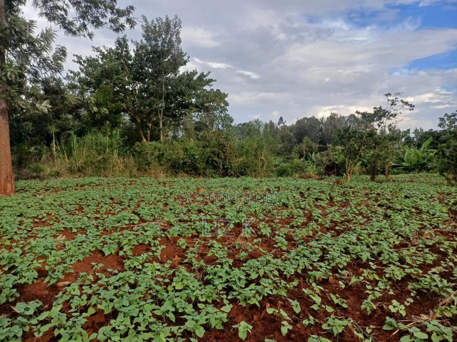 Half Acre in Kabati Kenol
