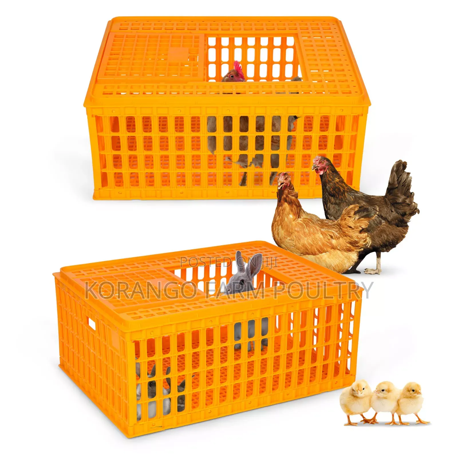 Poultry Xages