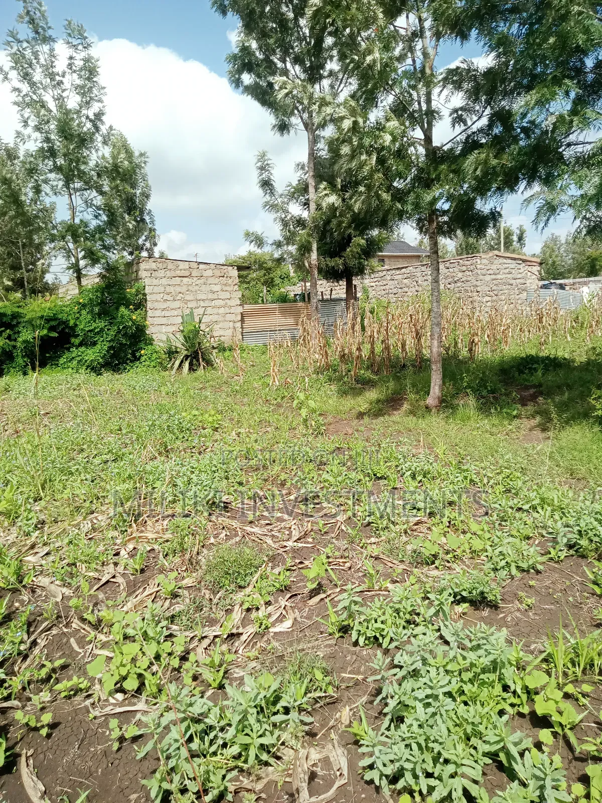 40 by 80 Plots on Sale at Kabati-CCF Area