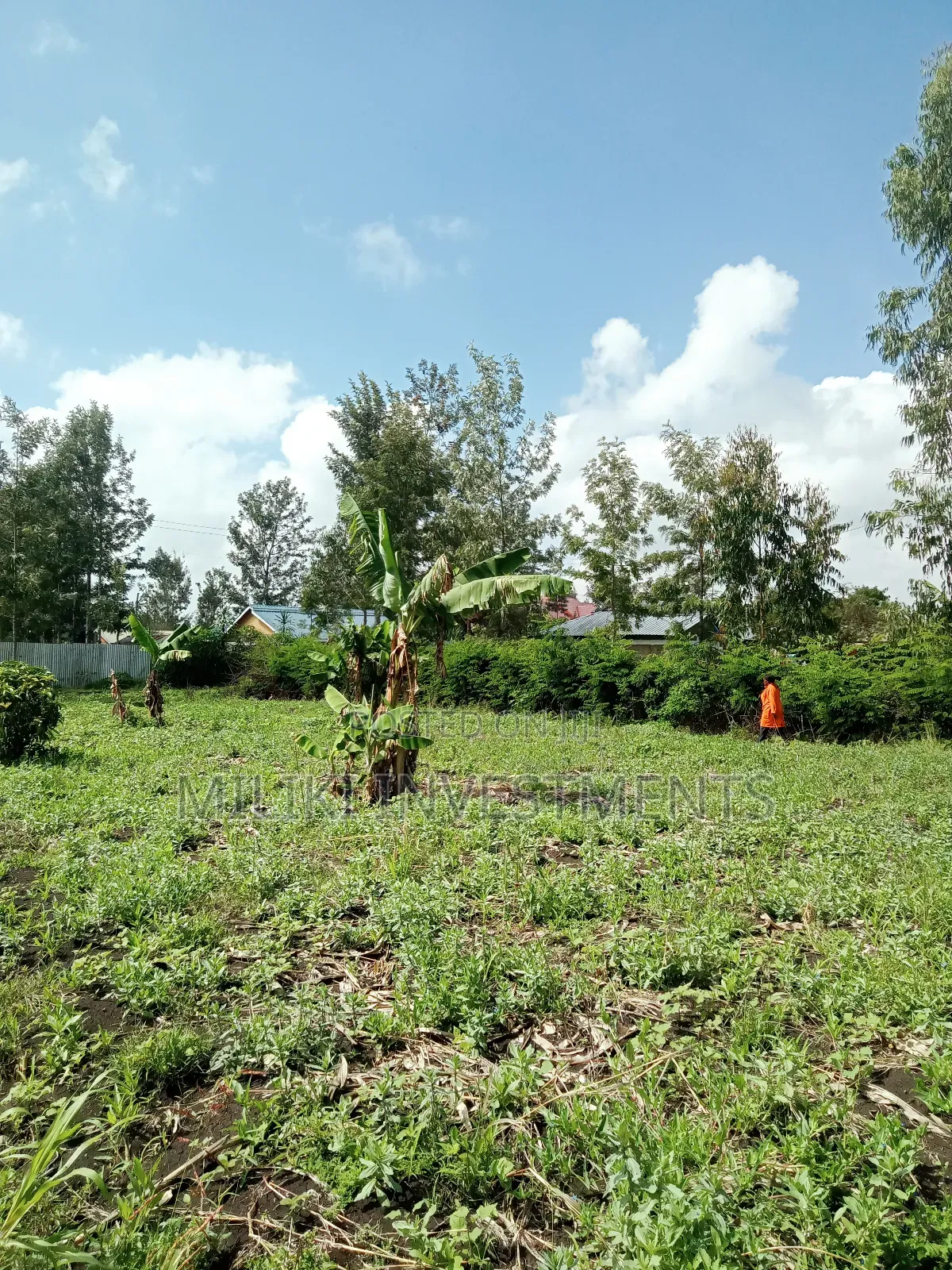 40 by 80 Plots on Sale at Kabati-CCF Area