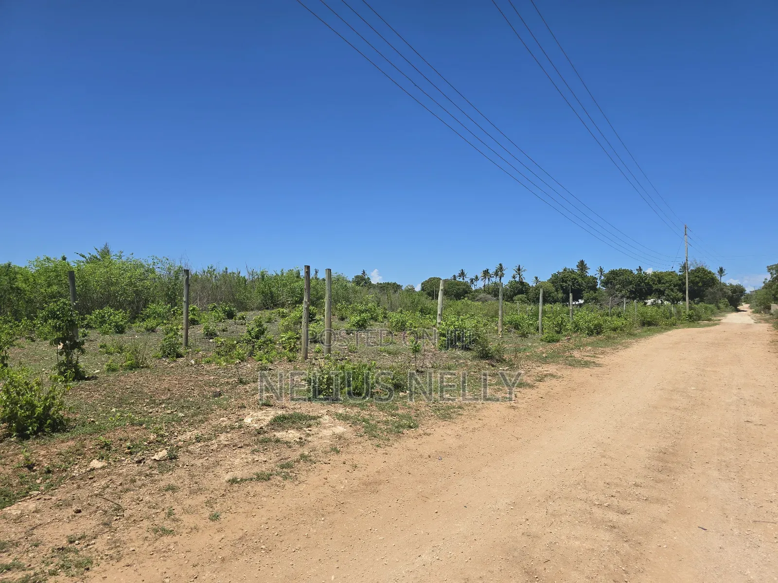3rd Row Beach Plots for Sale Kilifi Bofa