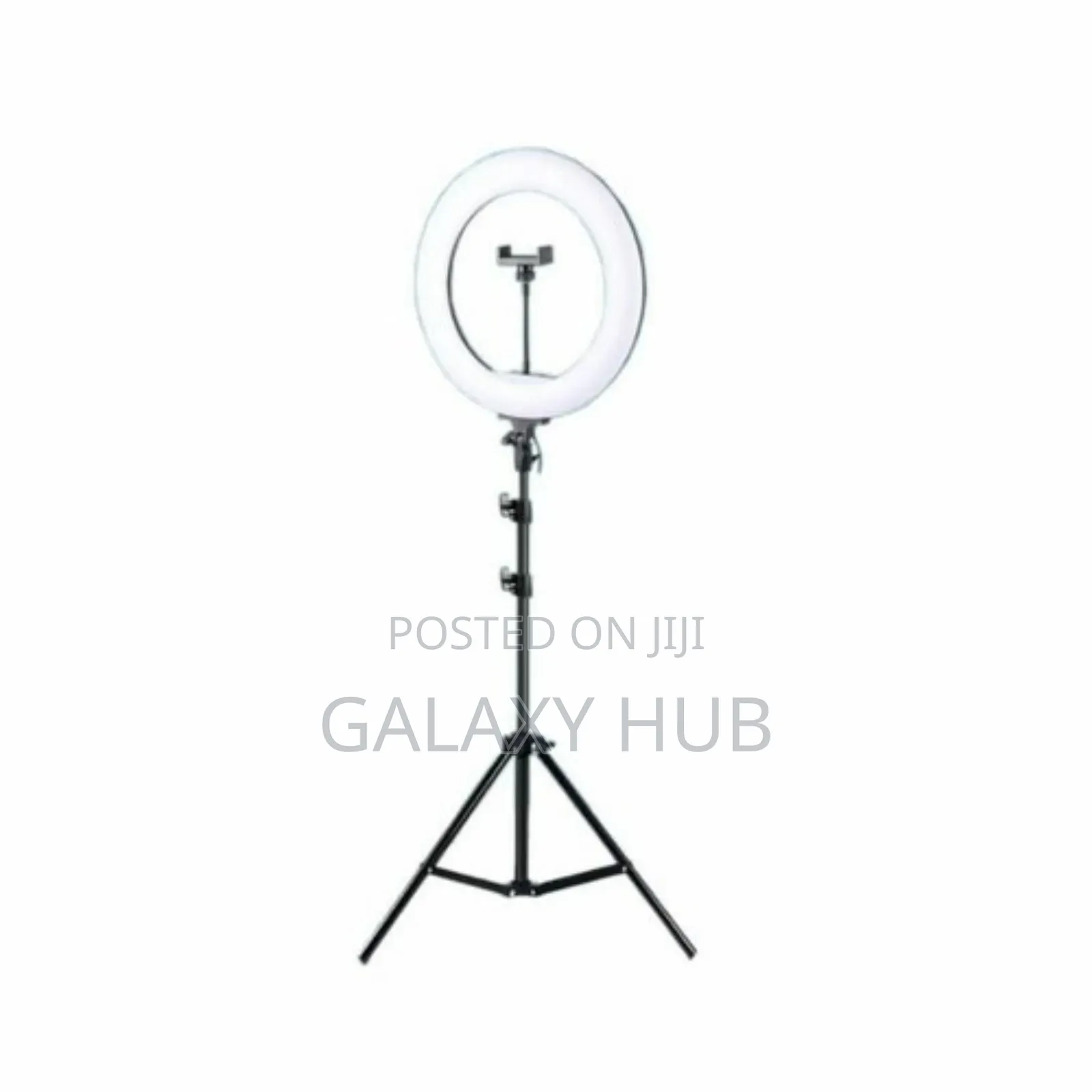 12" Ring Light