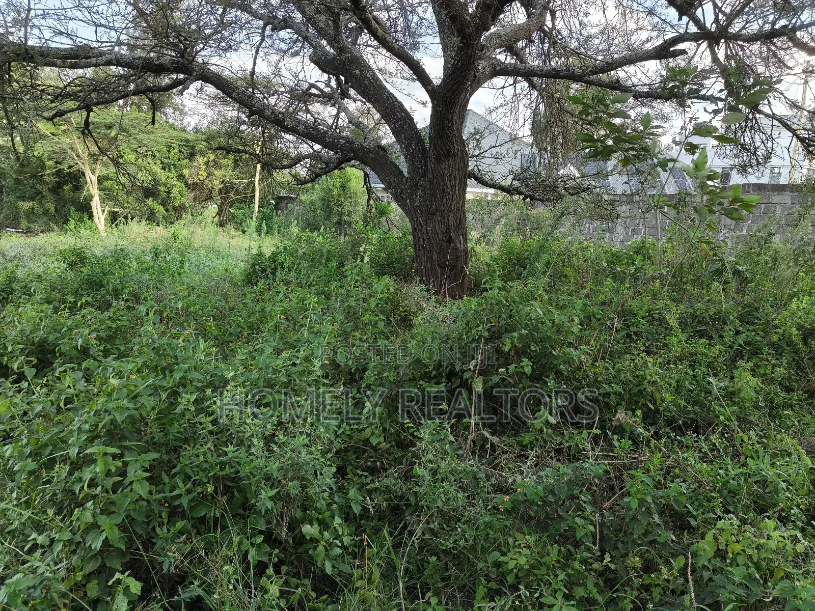 Eighth Acre Plot in Rimpa, Ongata Rongai Near the Tarmac