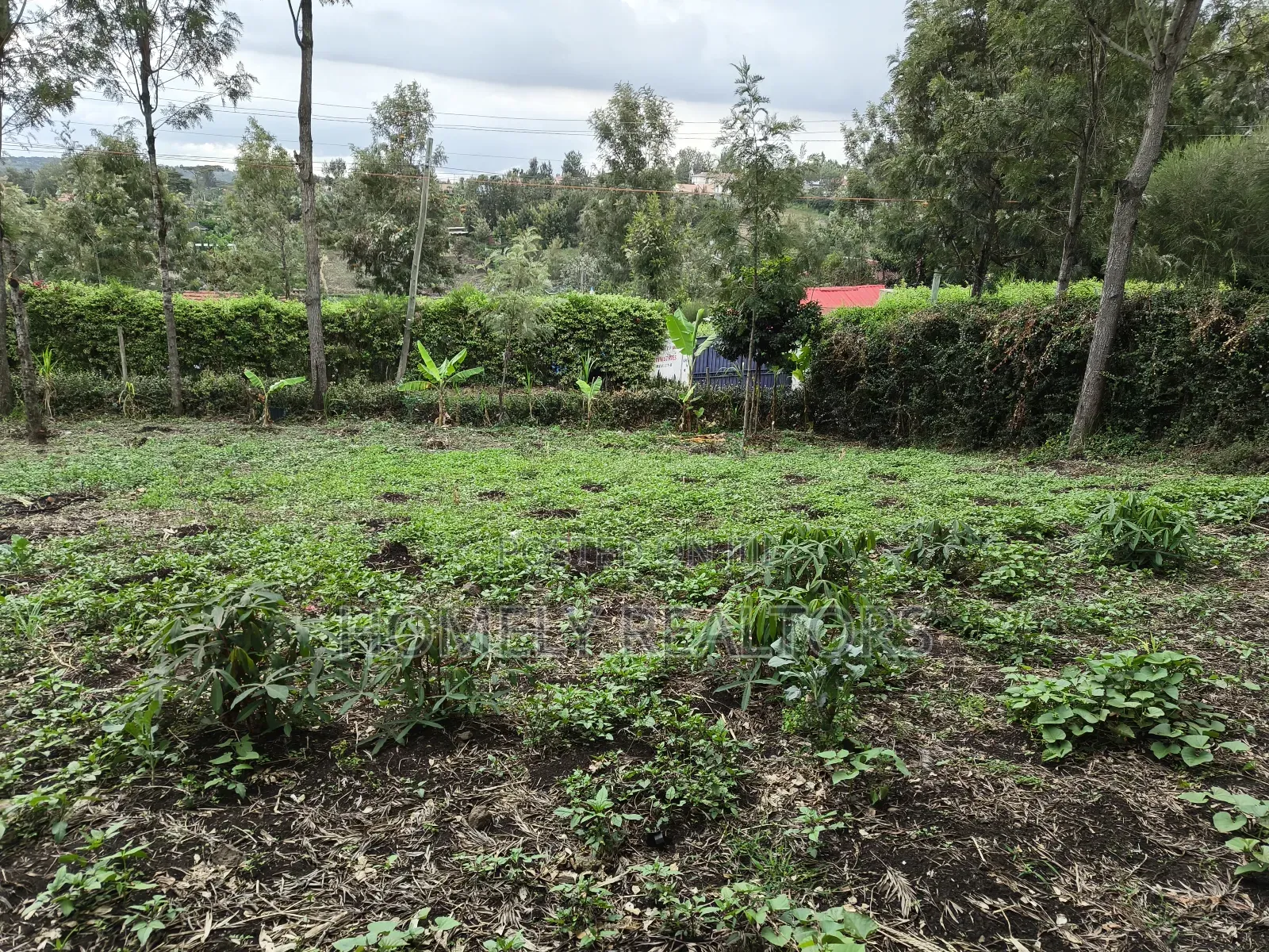 Residential Quarter Acre Plot in Ongata Rongai, Rimpa Area