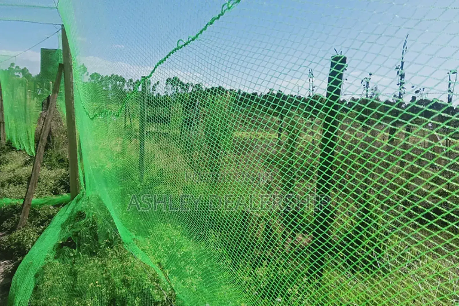 Anti-Bird Net 5mtrs by 33mtrs