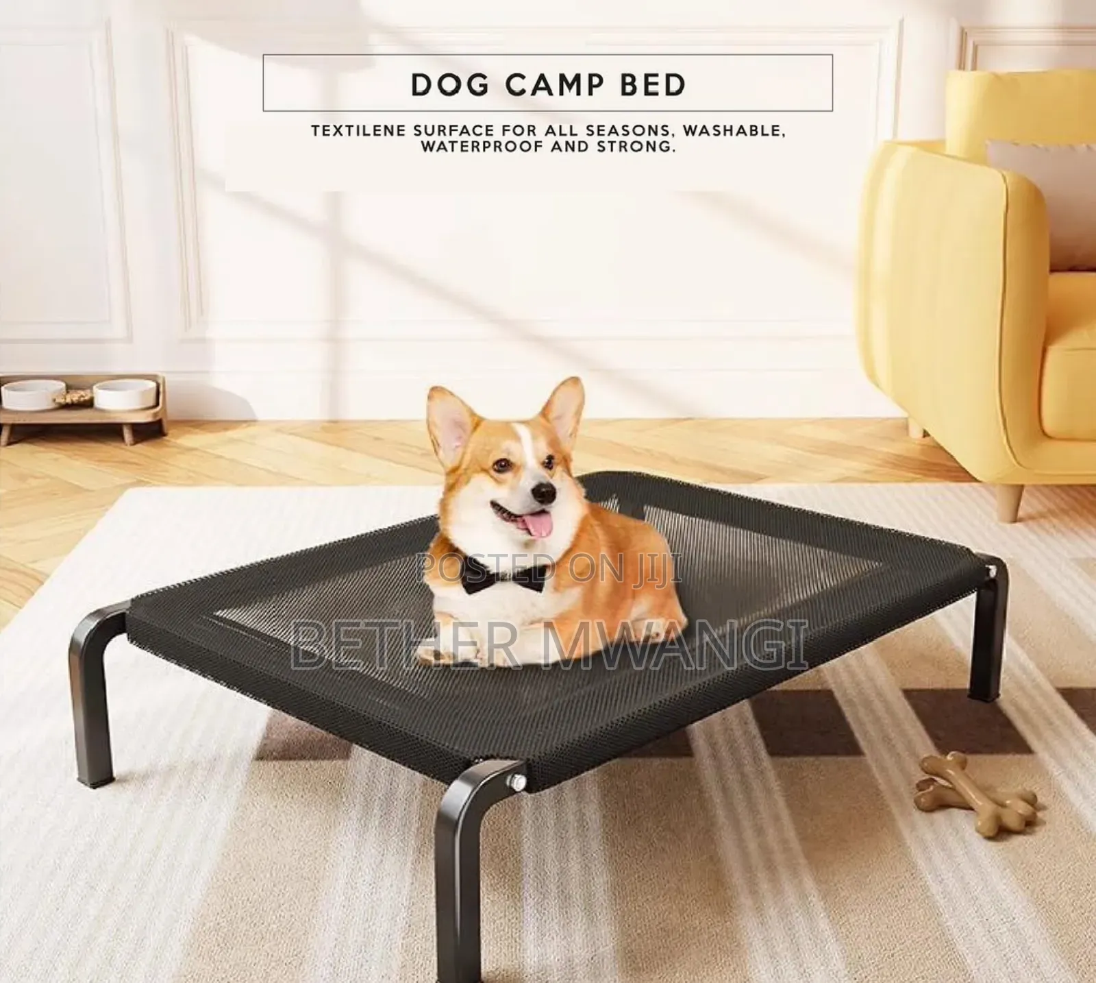 Dog Camp Bed in Kenya