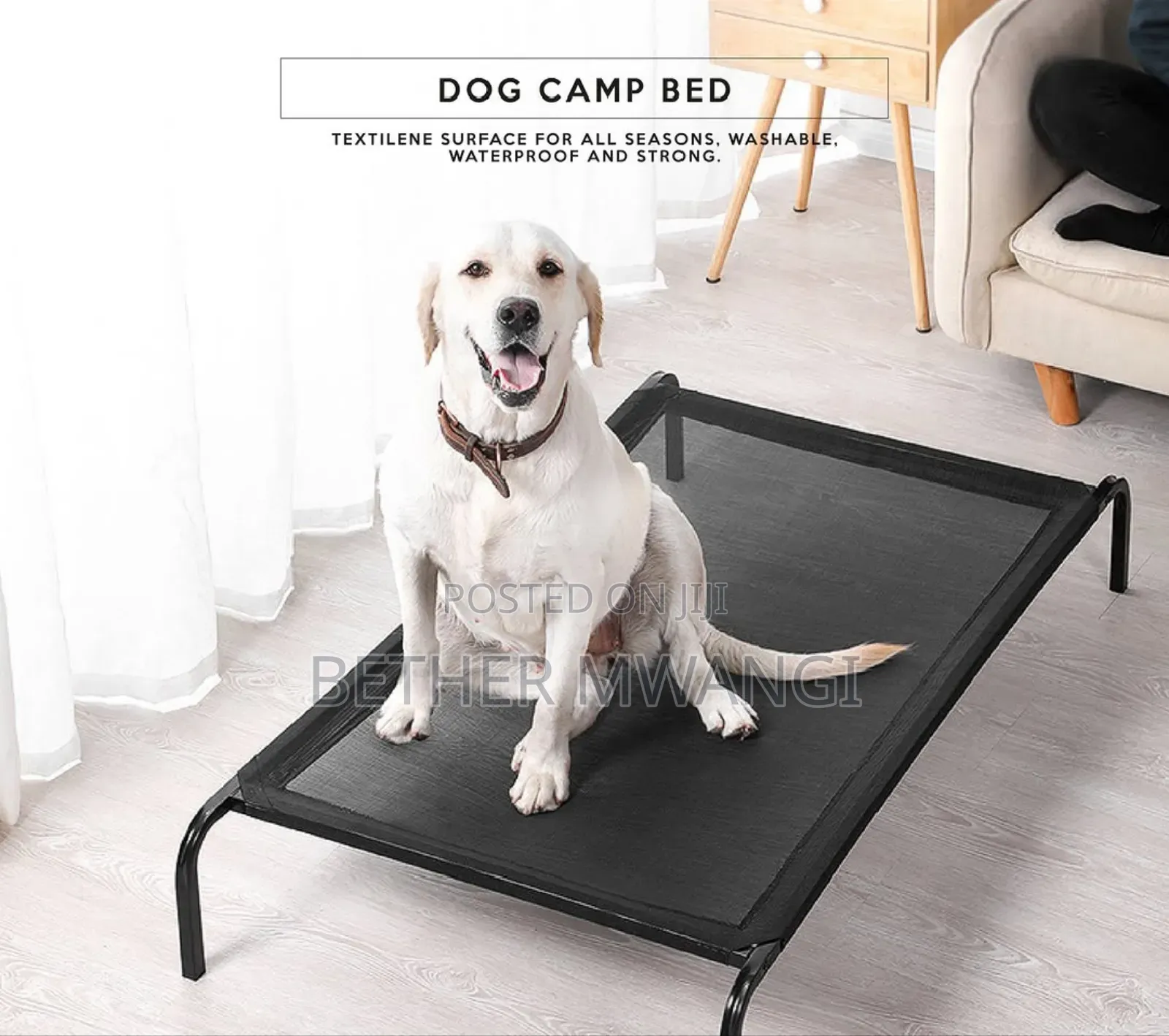 Dog Camp Bed in Kenya