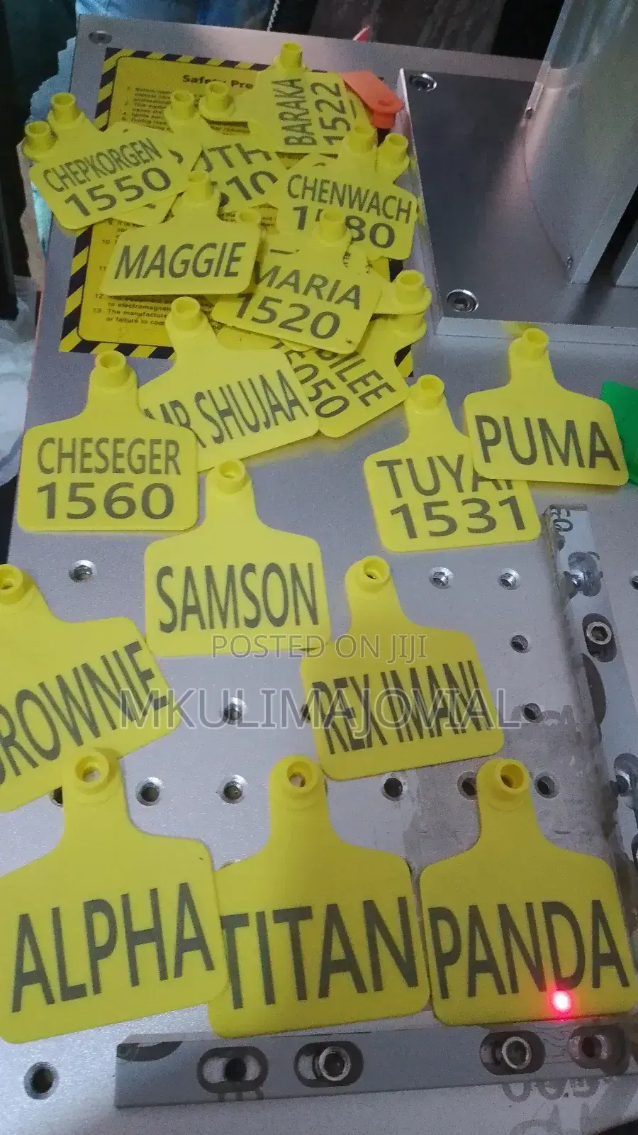 Branded Cow Ear Tags/ Branded Cow Tags