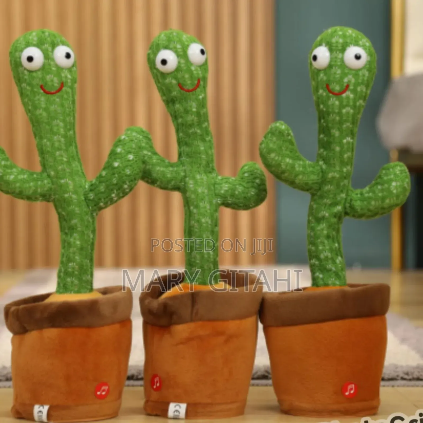 New *Dancing Cactus *