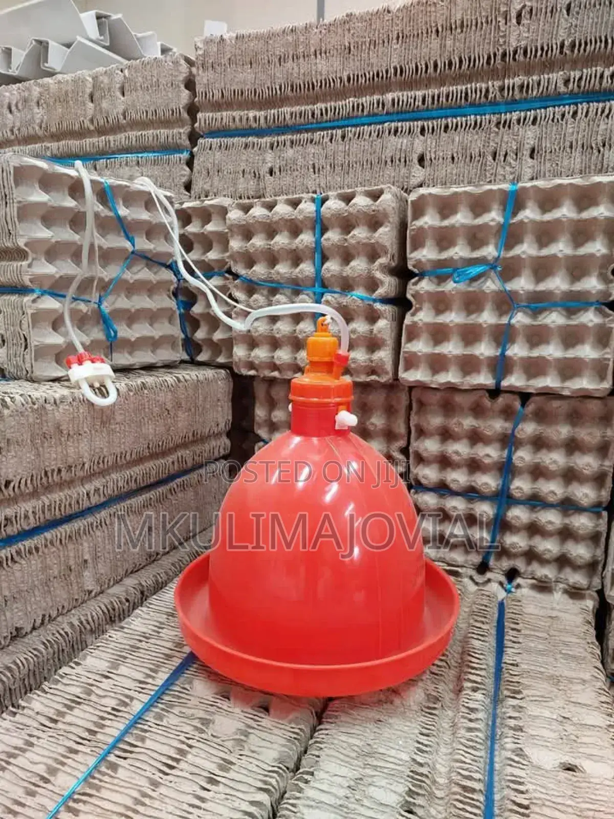 Automated Bell Drinkers for Poultry Water Feeding