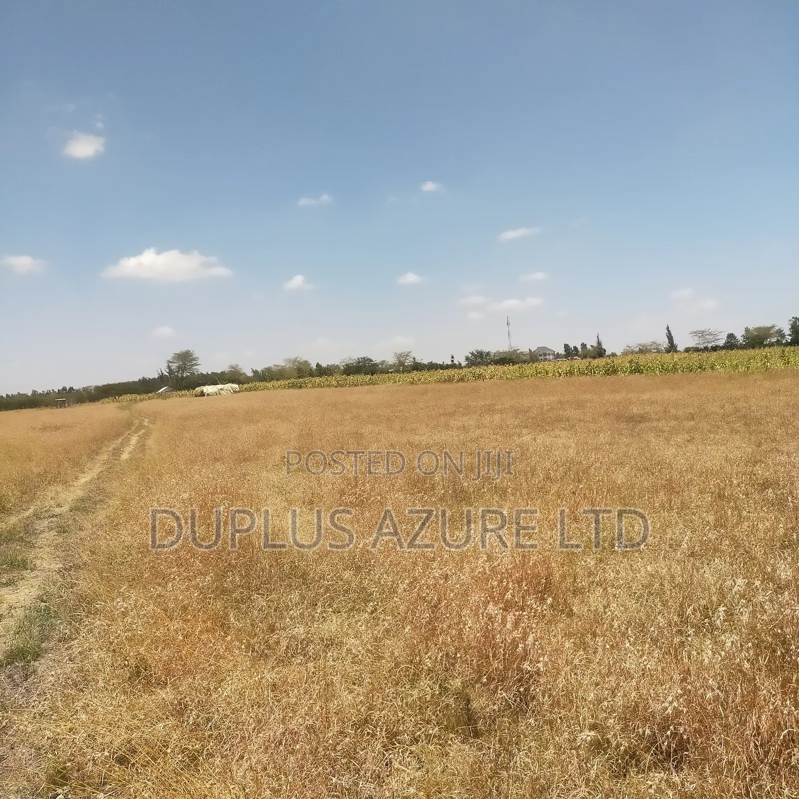 13 Acres Prime Land for Sale in Kisaju