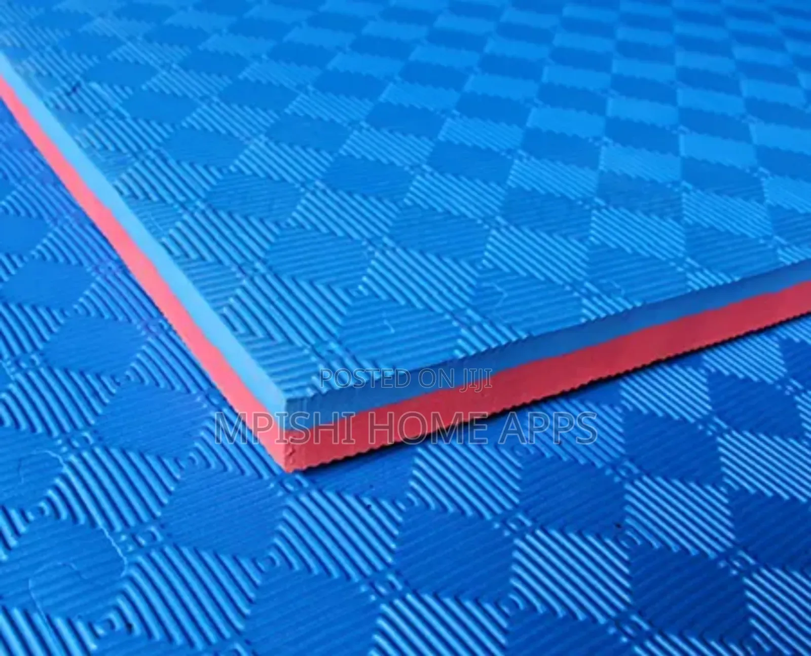 Interlocking Floor Mat