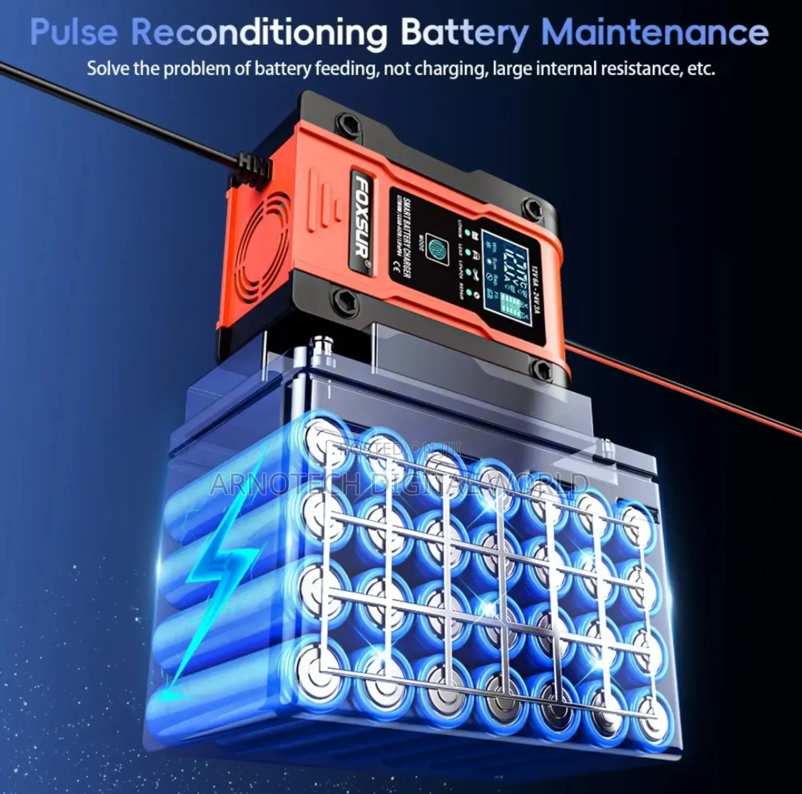 12/24v Smart Universal Battery Charger/ Repairer