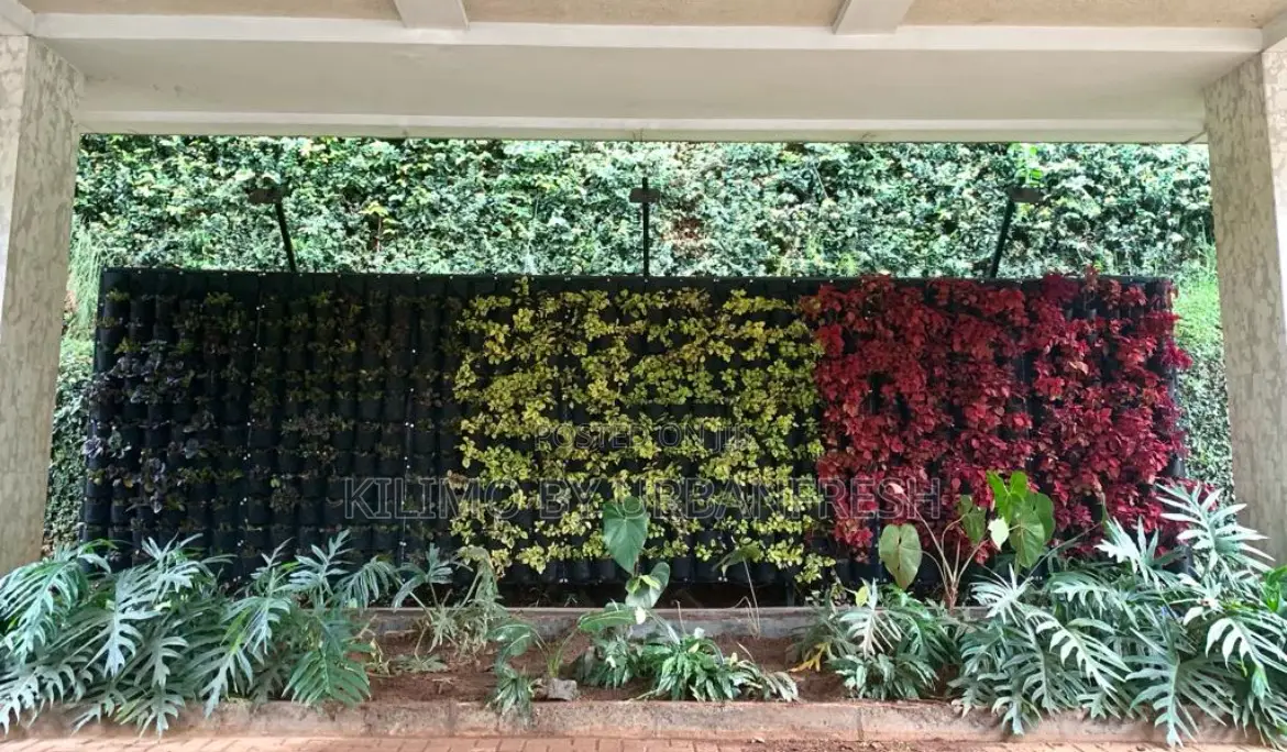 Vertical Live Walls Can Plant Vegetables / Herbs / Flowers