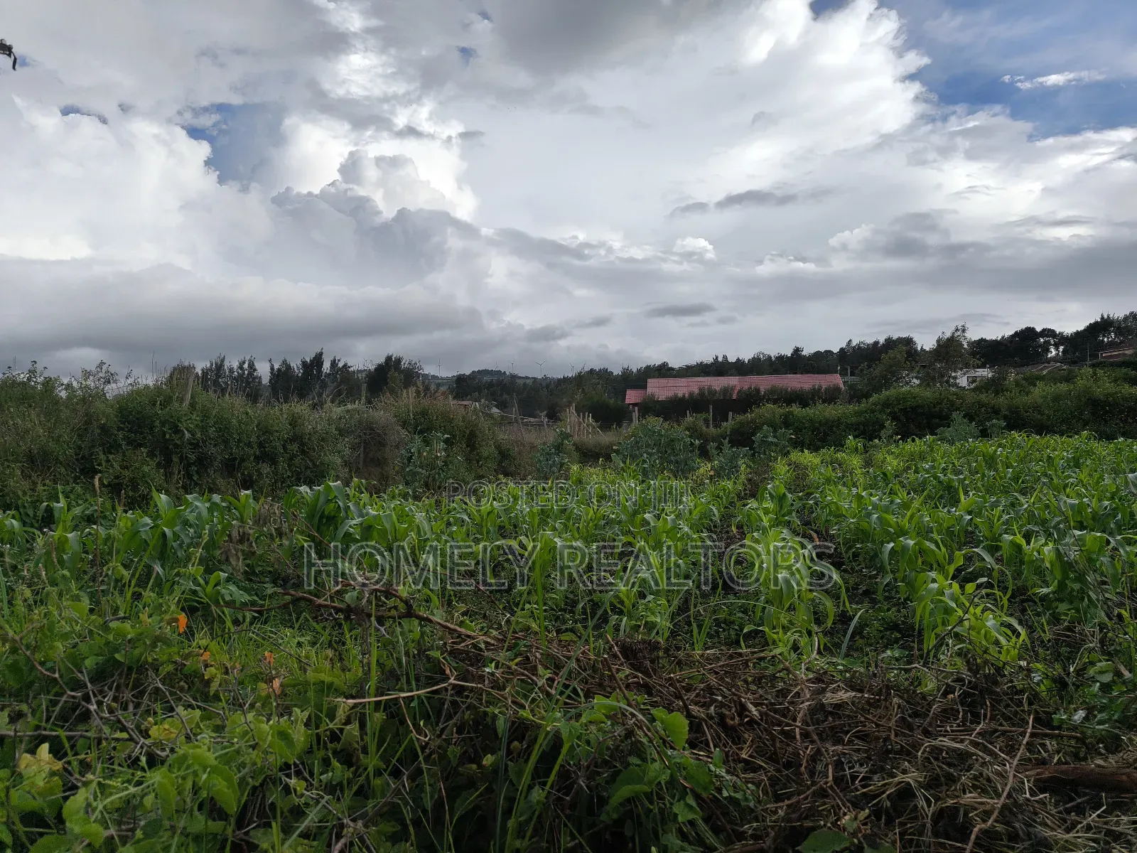 Eighth Acre Plot in Ngong Along Maragara Road Near Tarmac