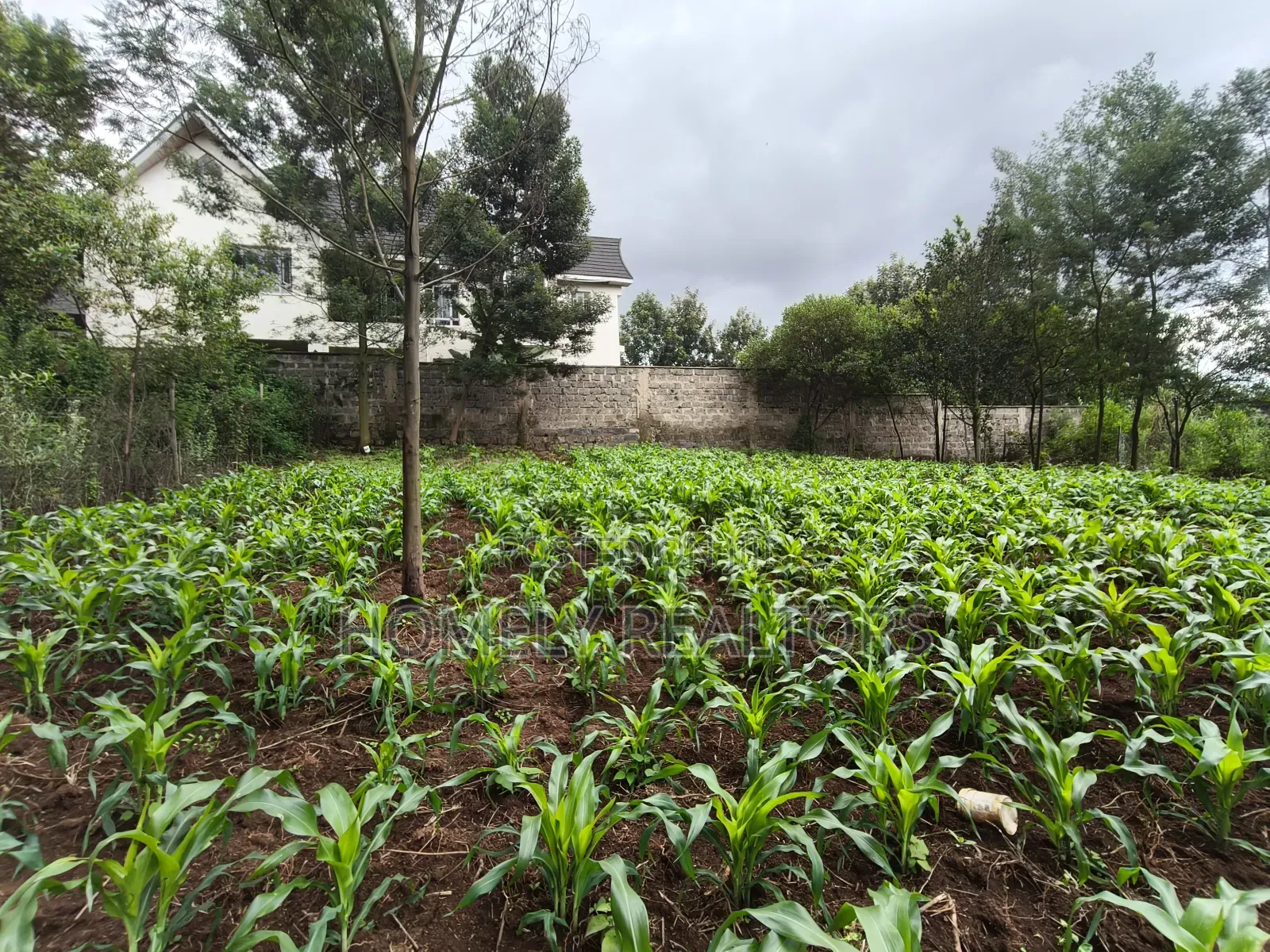 Strictly Residential Eighth Acre Plot in Kerarapon, Ngong