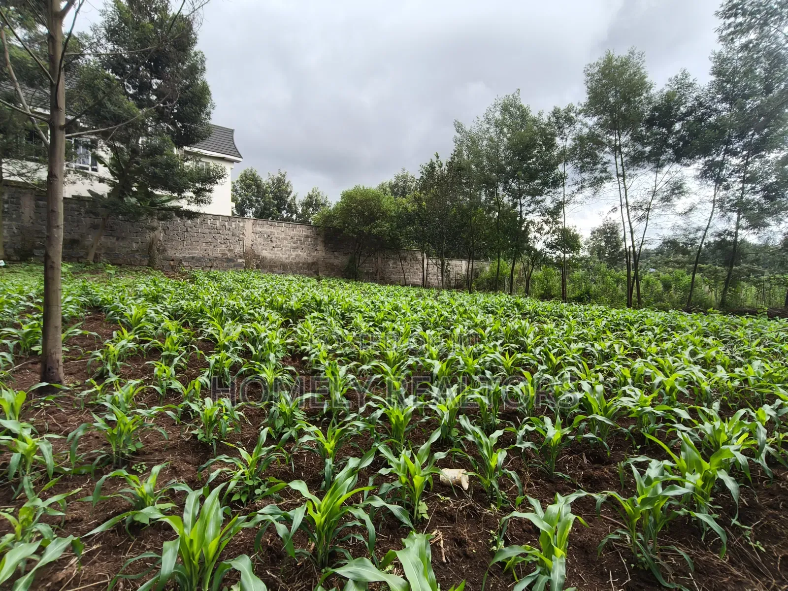 Strictly Residential Eighth Acre Plot in Kerarapon, Ngong