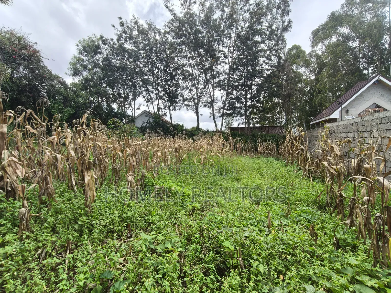 Gated Residential Eighth Acre Corner Plot in Kerarapon Ngong