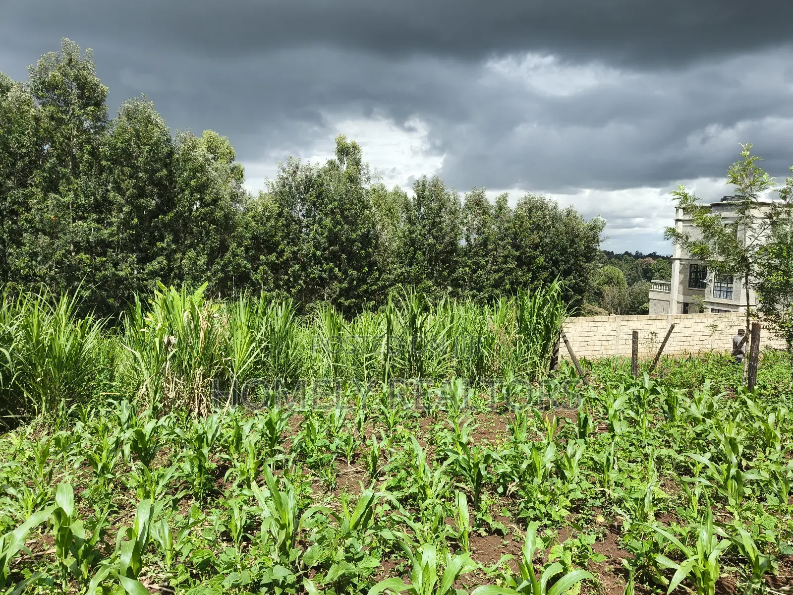 Residential Quarter Acre Plot in Ngong, Matasia Near Silanga