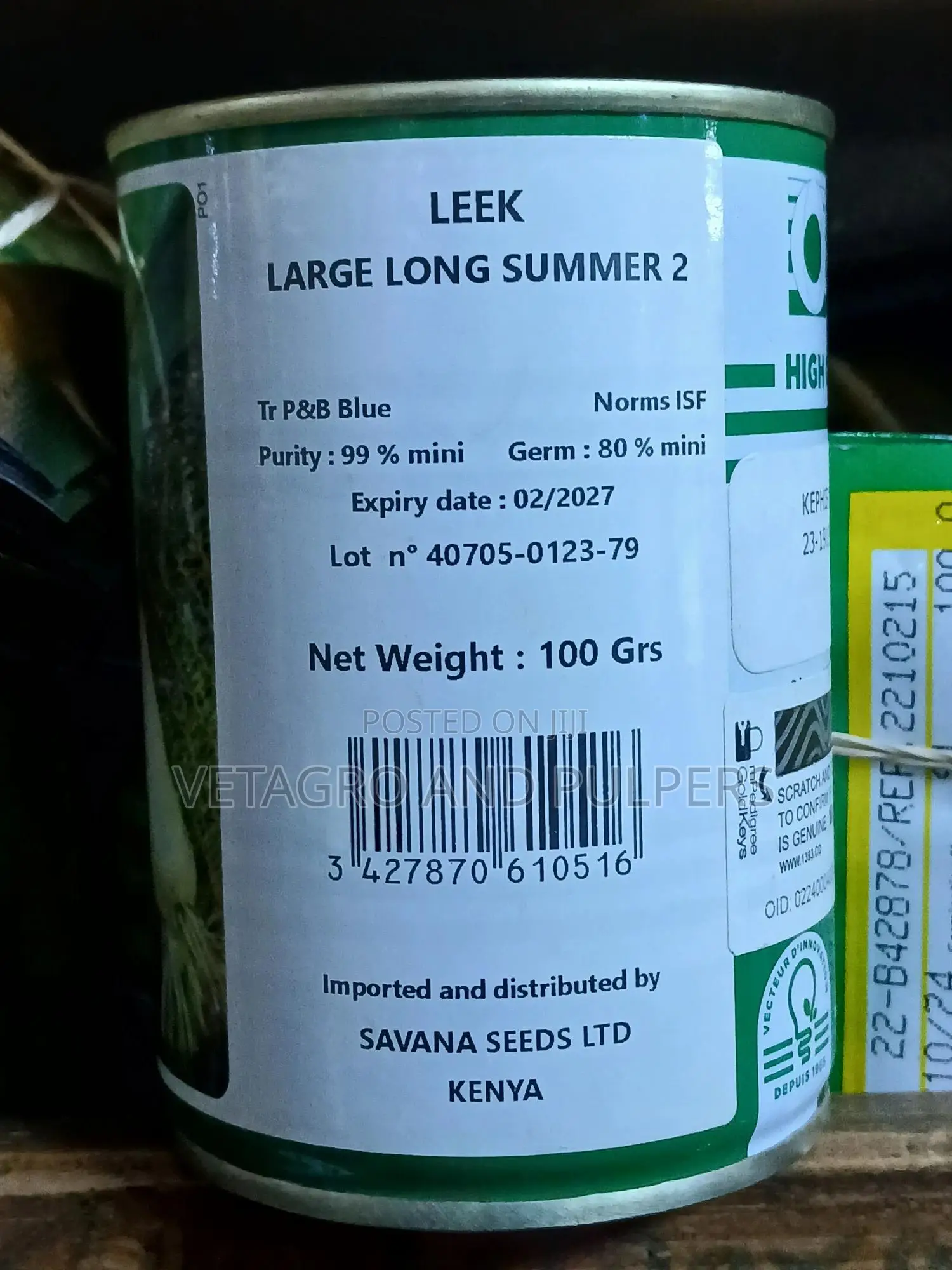 Leek Large Long Summer 2